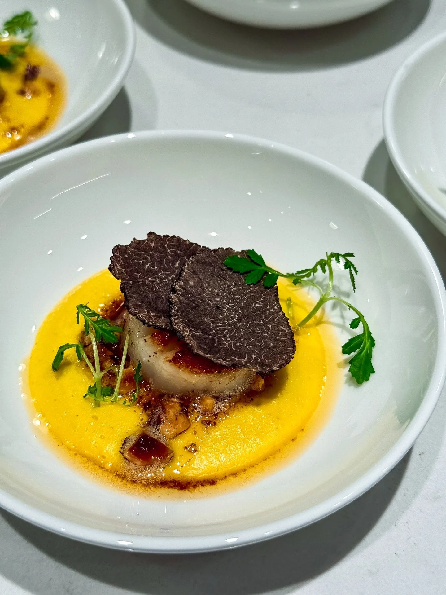 SEARED MAINE SEA SCALLOP
corn velout&eacute; | toasted hazelnuts | browned butter | shaved black truffle

One of my favorite dishes from this winter. The sweetness of the scallop and corn, the warmth of toasted hazelnuts and nutty browned butter, fin