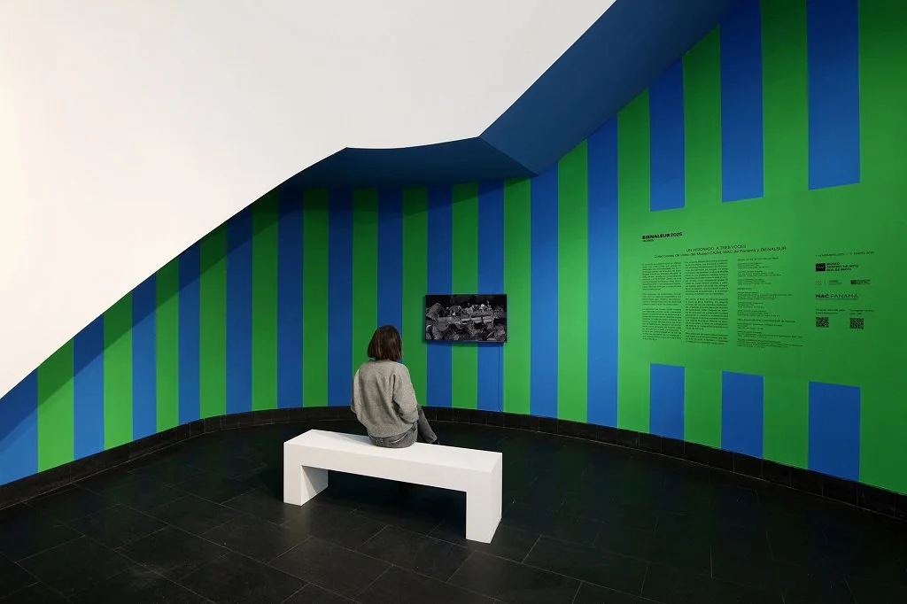 BienalSur + CA2M + MUNTREF : Un Visionado a 3 Voces, 2025