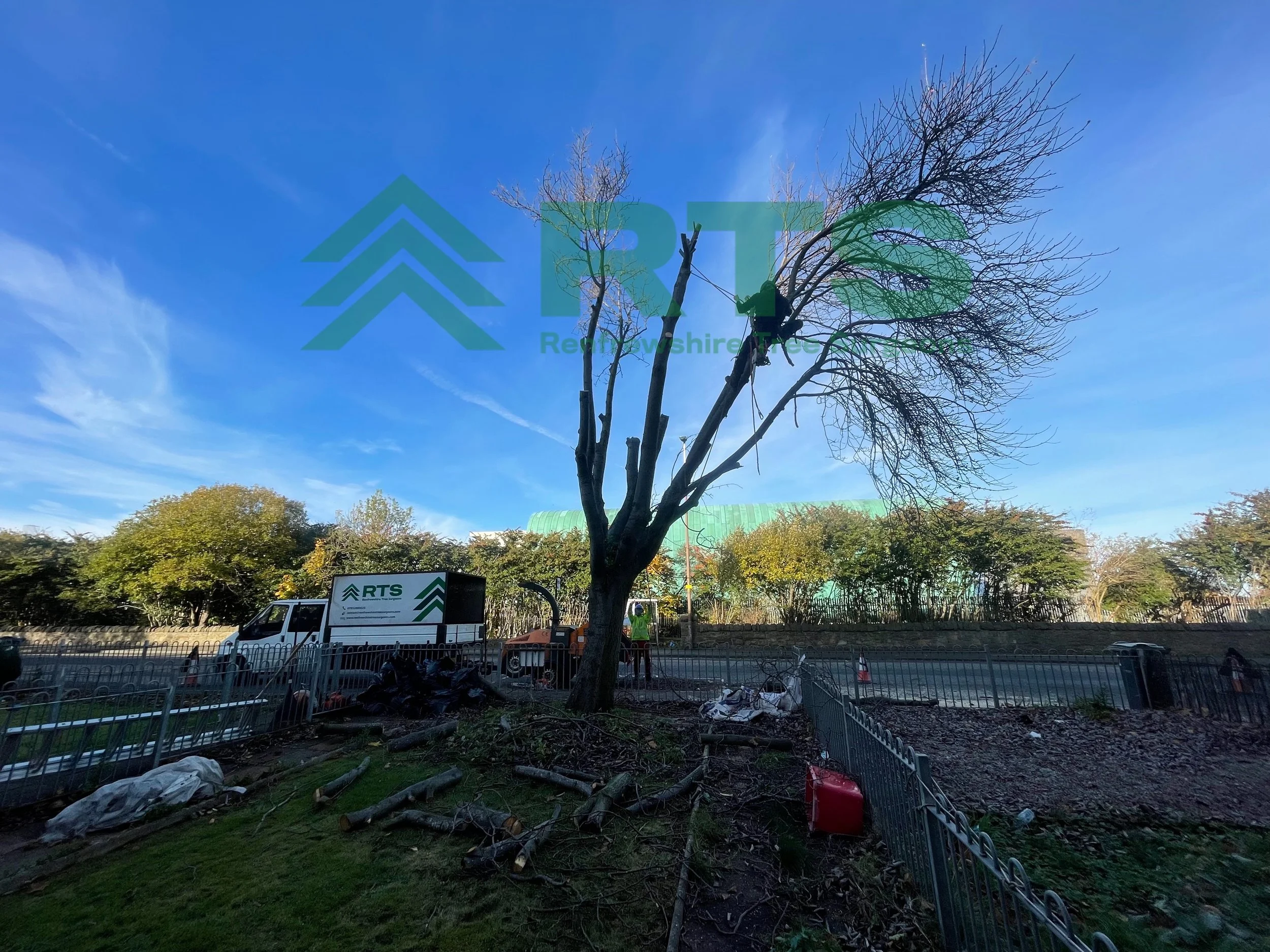 Tree Removal Renfrewshire