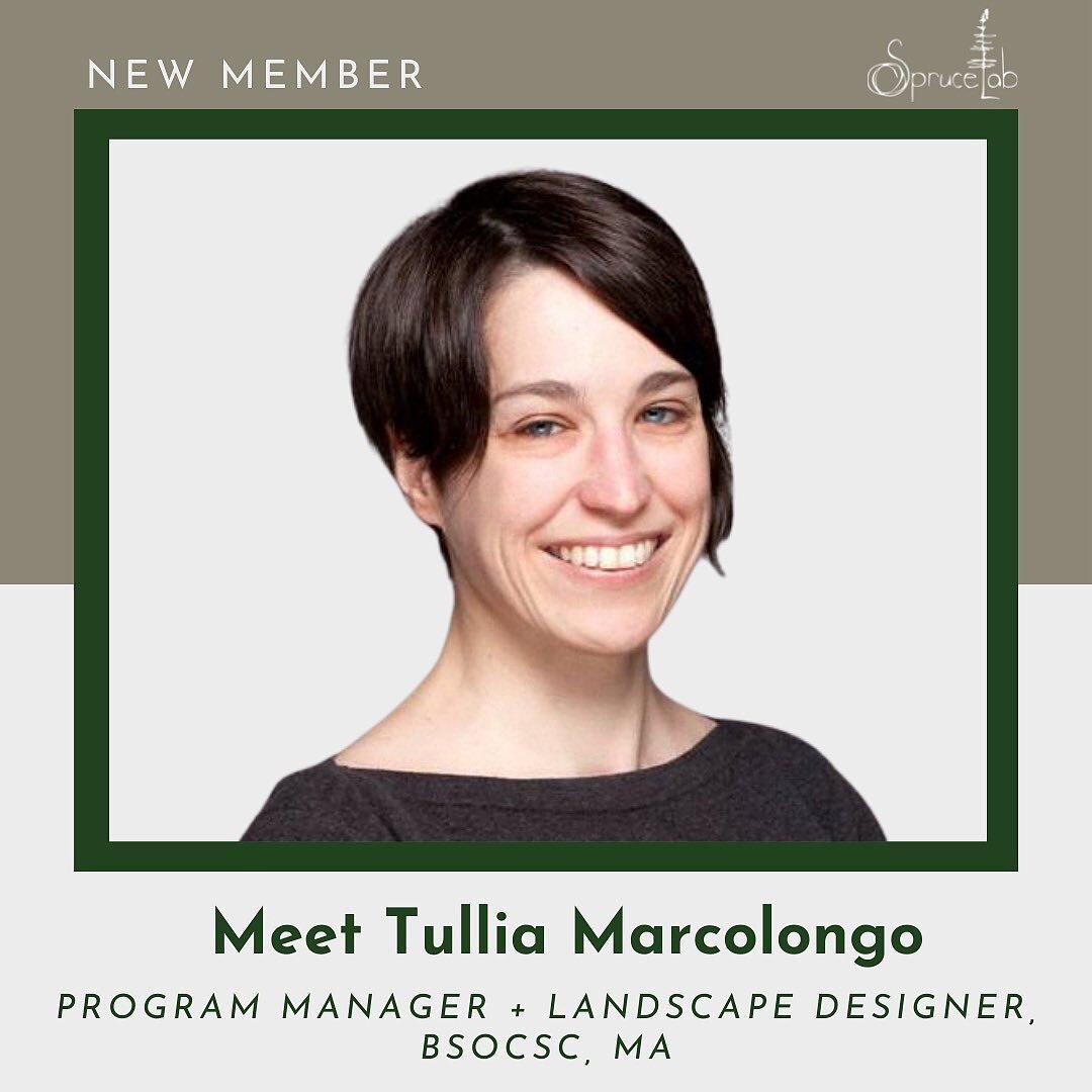 We are so excited to introduce Tullia Marcolongo, Program Manager and Landscape Designer to the Sprucelab team! She brings years of experience as a program manager &ndash; from the planning and project design phase, to research, implementation, commu