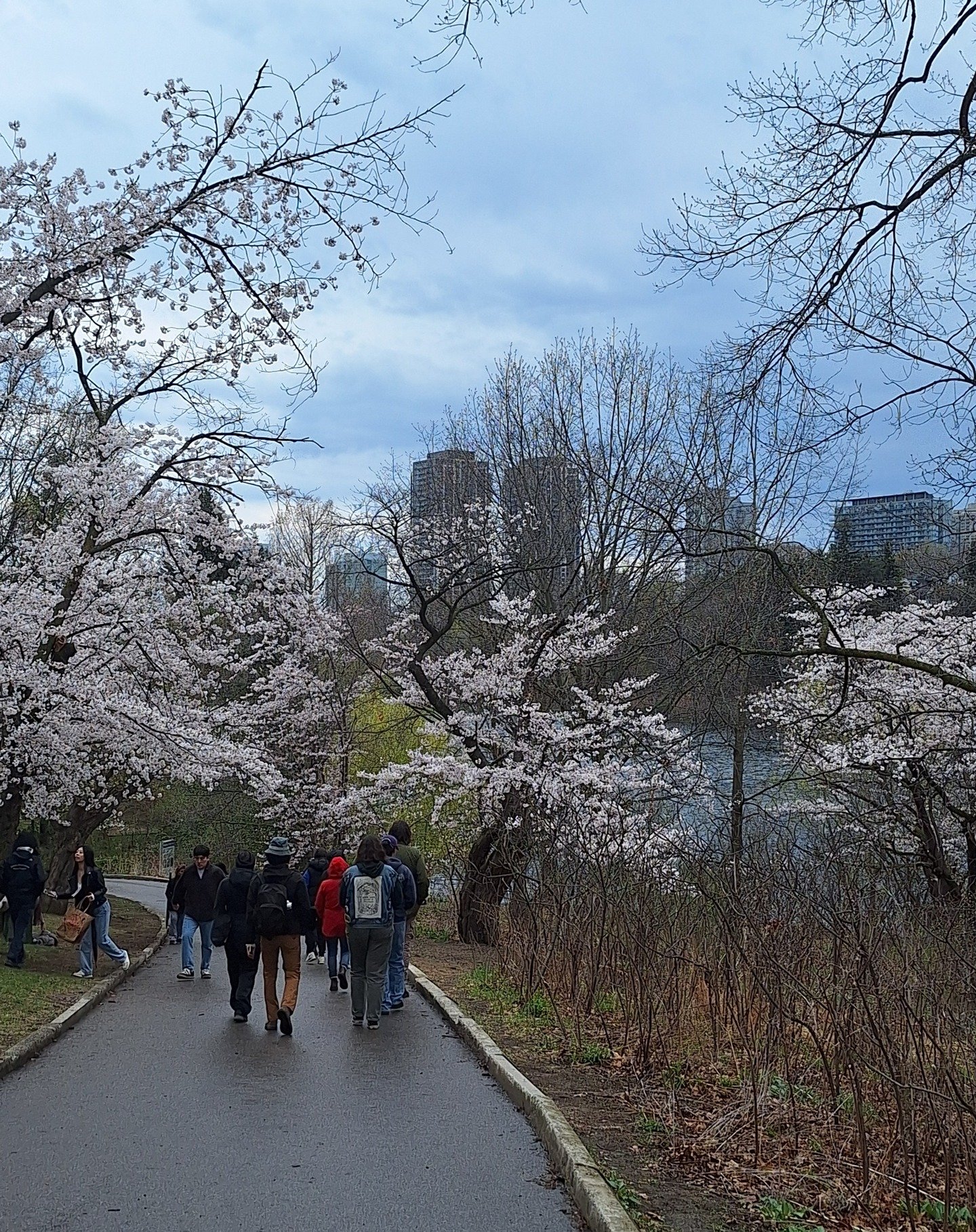 SpruceLab&rsquo;s Earth Tending program offers a six-week paid training for unemployed or underemployed First Nations, Inuit, or M&eacute;tis individuals in the Greater Toronto Area. Participants gain hands-on experience in green infrastructure, blen