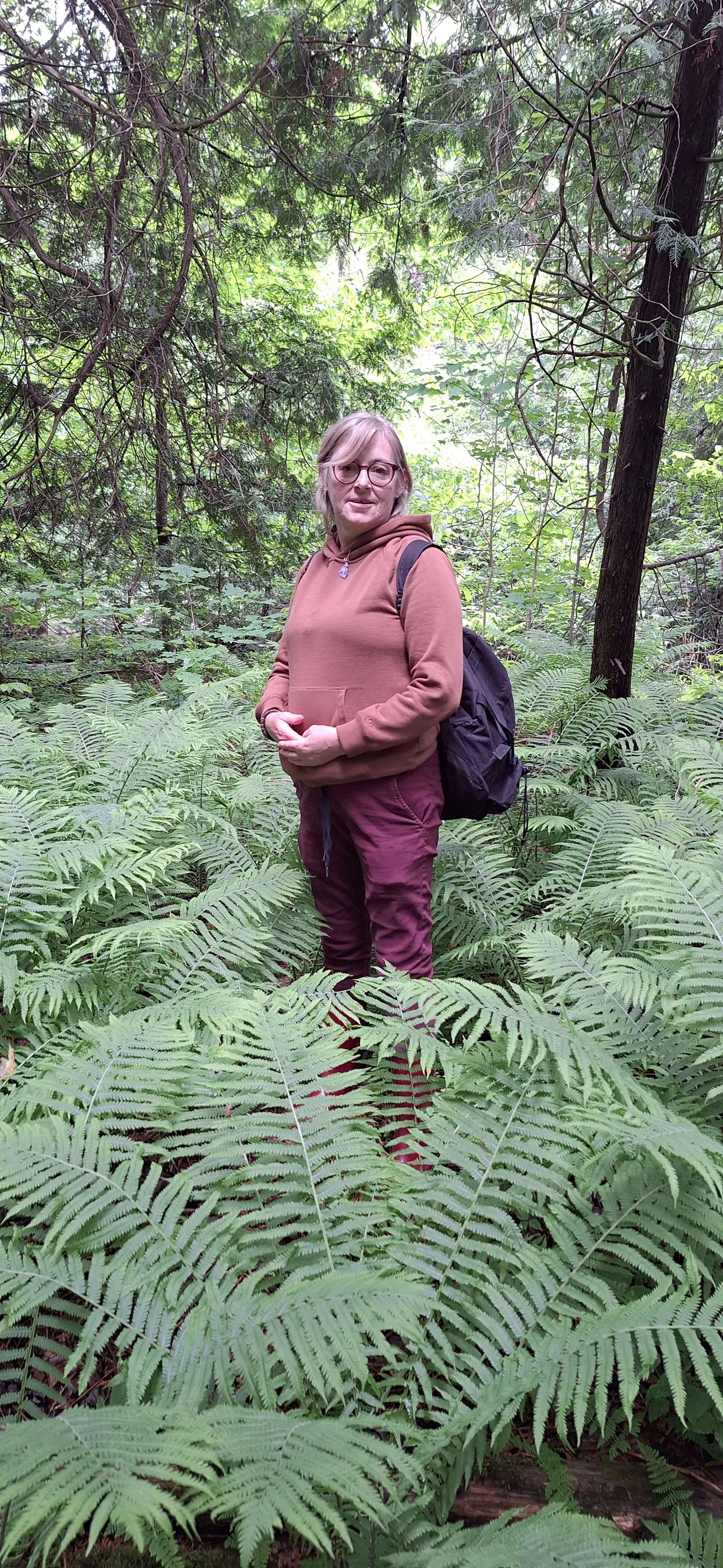 I've lost Veronica in the ferns.jpg