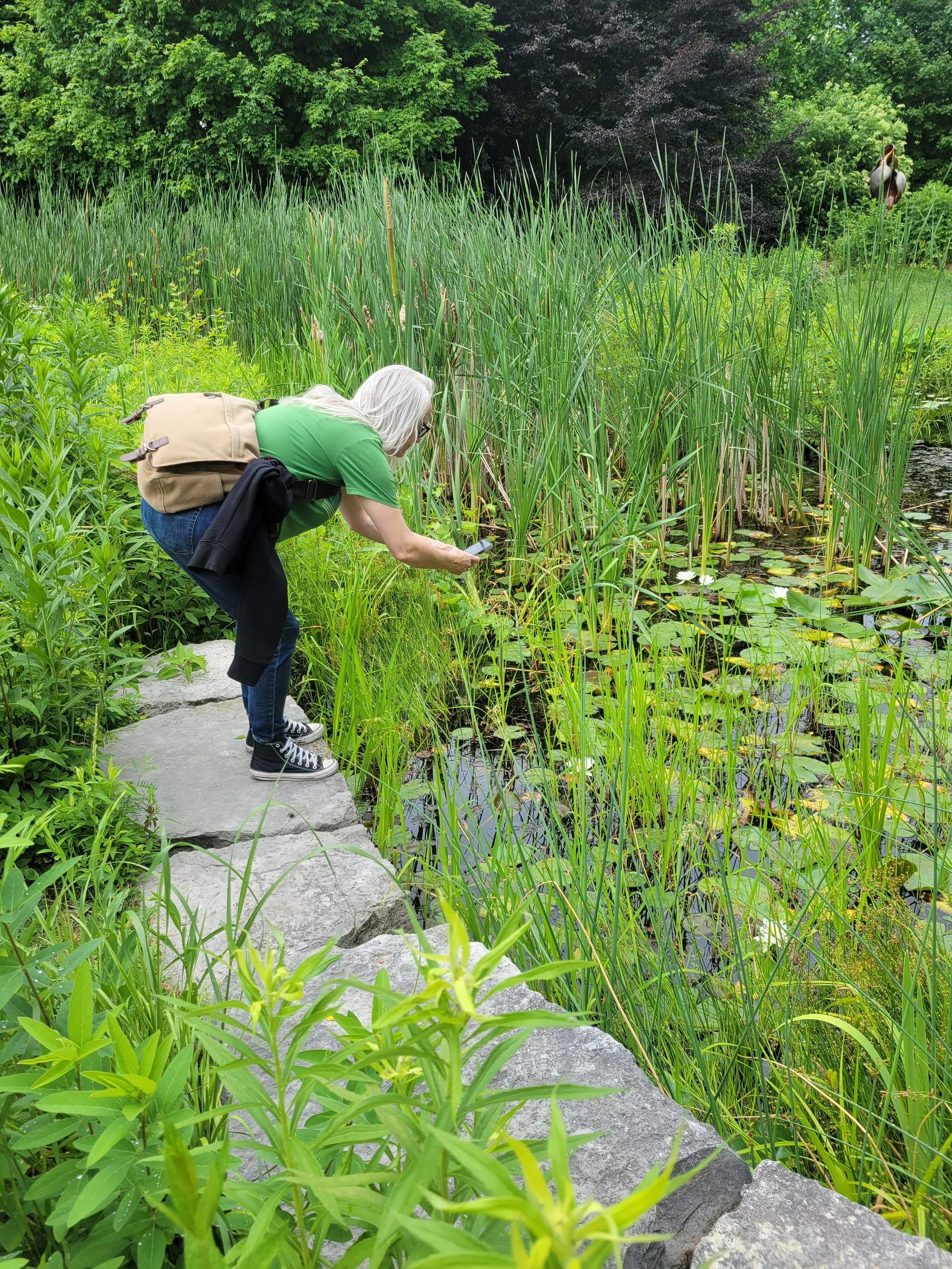 RBG KL pond.jpg