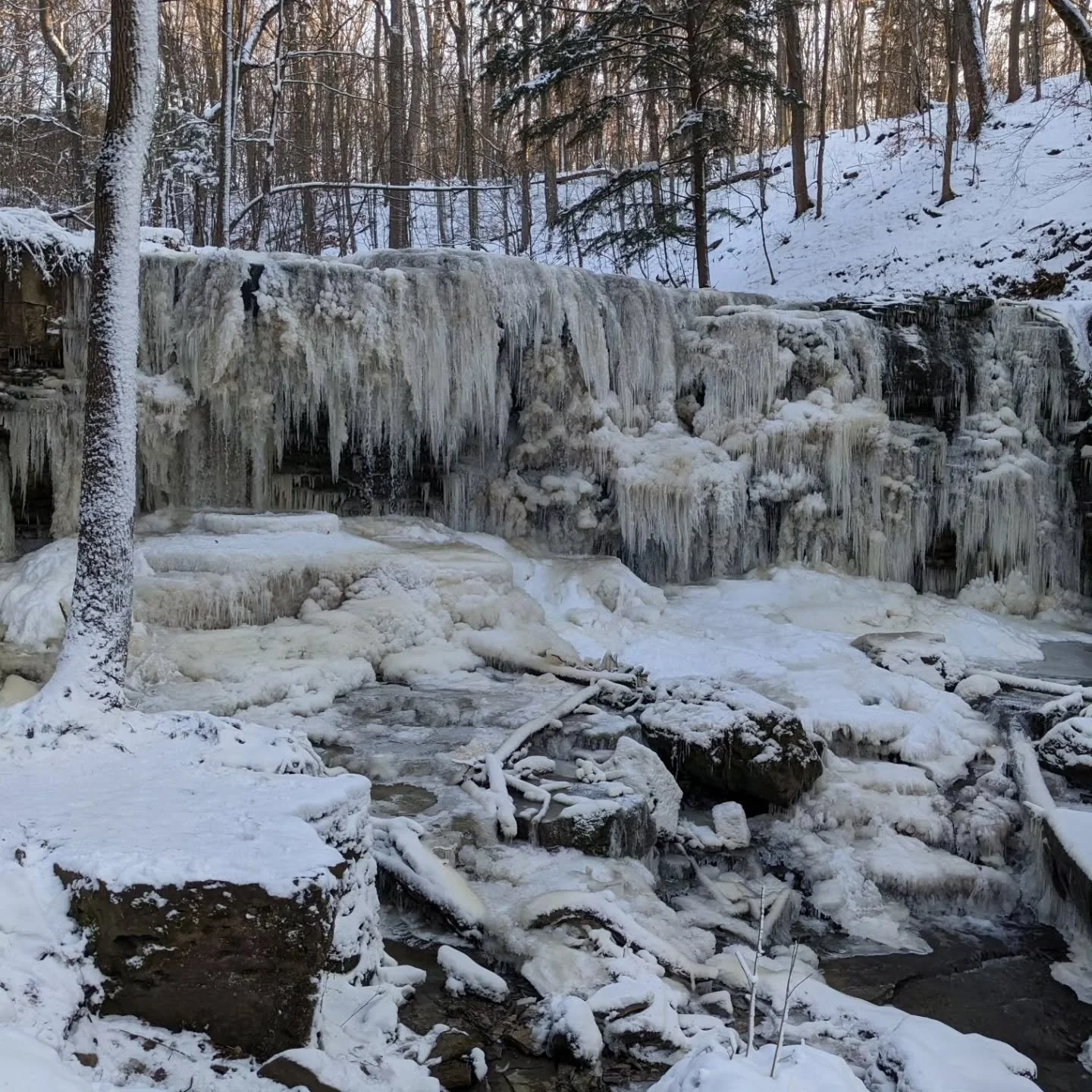 Winter is part of the context we design for in this region &mdash; from grading and drainage to planting and long-term resilience providing food and habitats for All Our Relatives year round

The land looks still but life continues, winter is a time 