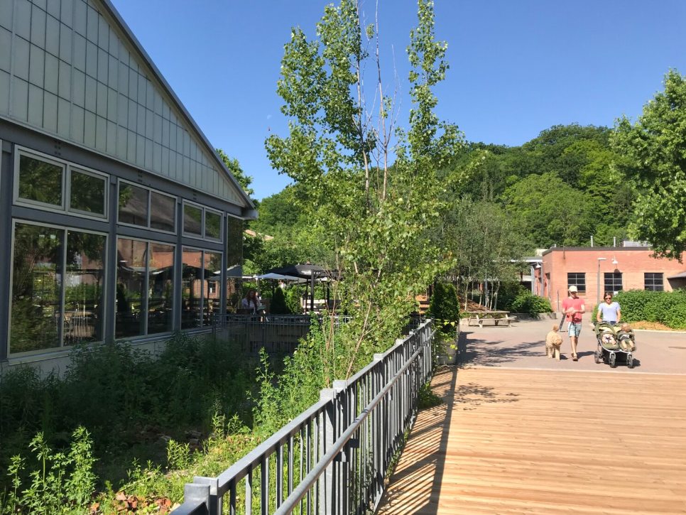 Boardwalk and Building by SpruceLab