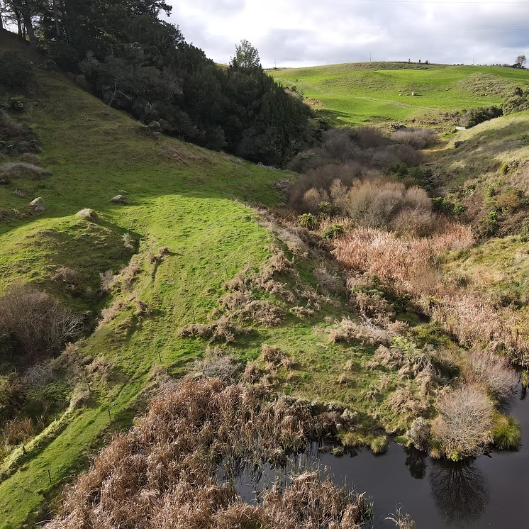 DJI_0089 (3)_edited.png