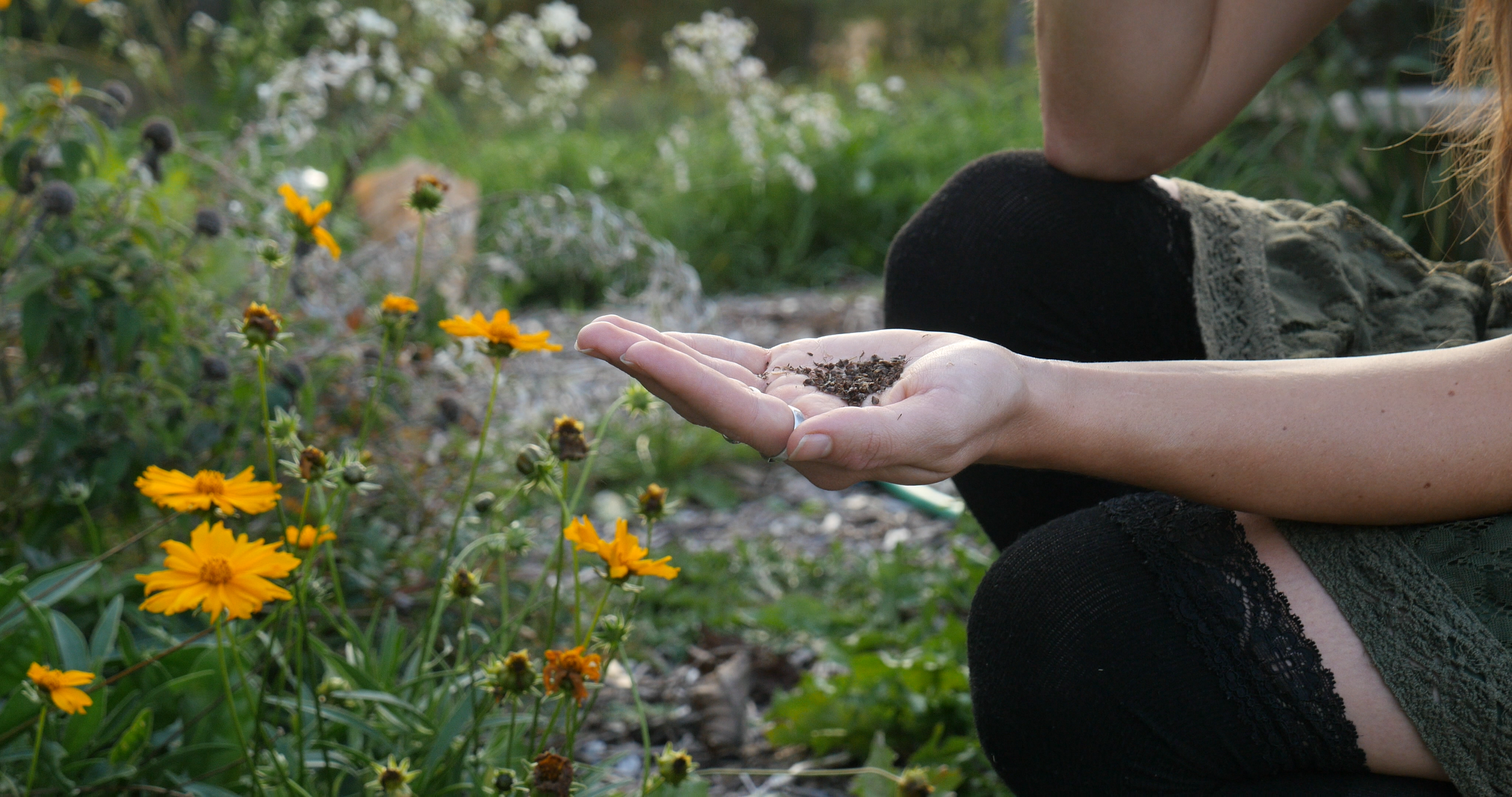 Seeds In Hand0.png
