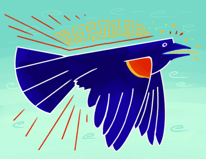 cf95a7d4-6c5d-4e45-9f9a-a56b5c162cca.png