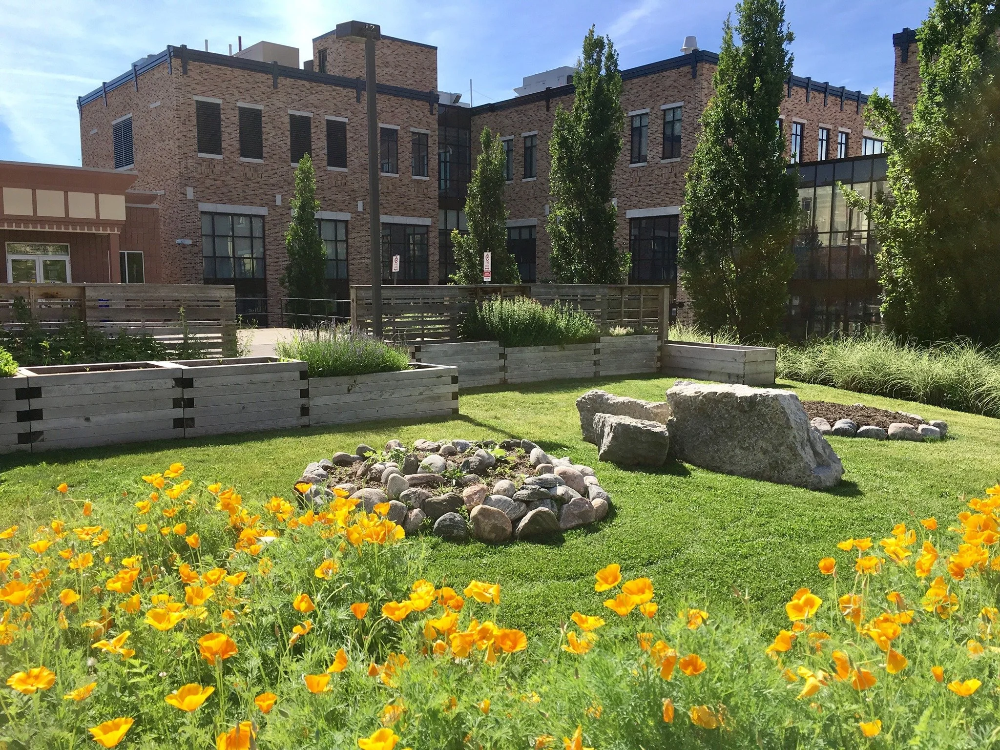 Perennials and planter by Indigenous SA Brantford