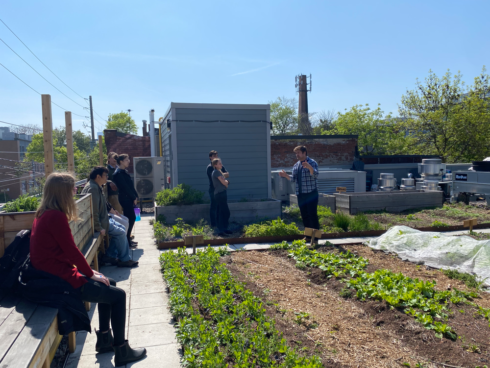 Earth Tending — SpruceLab | Landscape Architecture + Planning