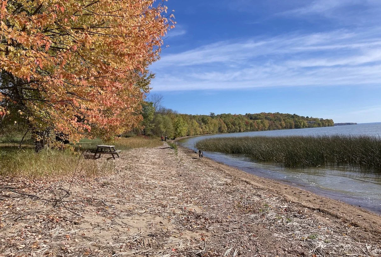Existing shoreline with bench by SpruceLab