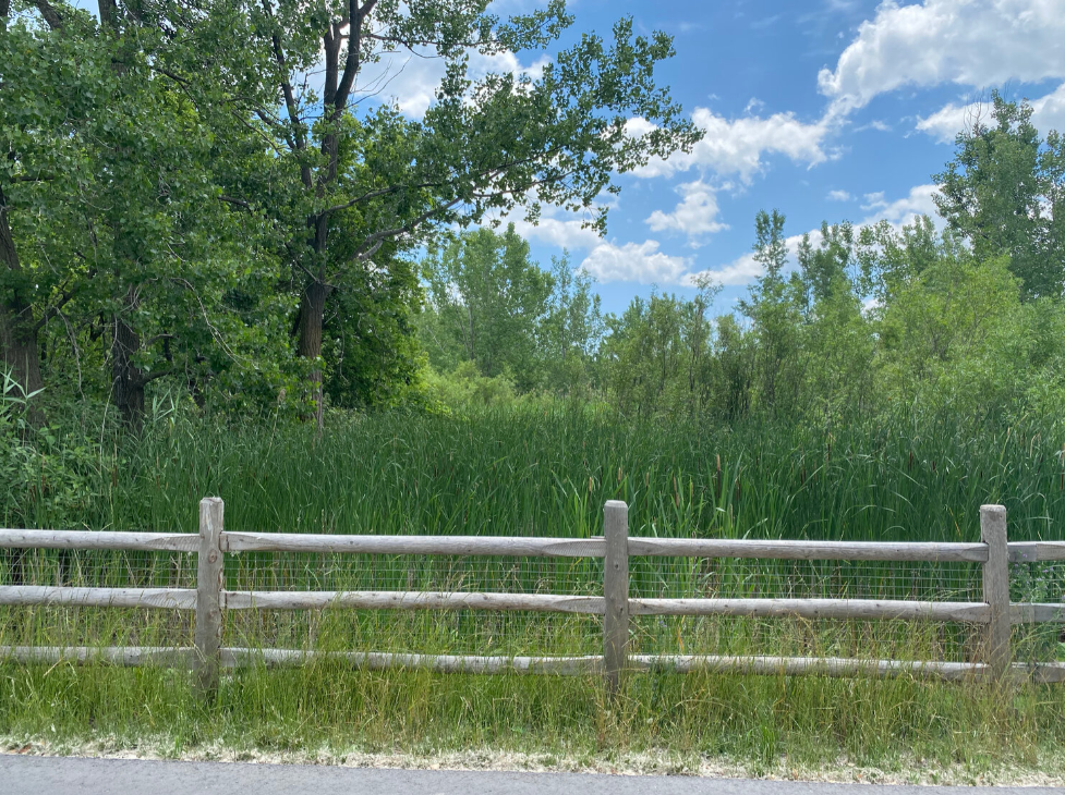 Martin Goodman Trail 10.png
