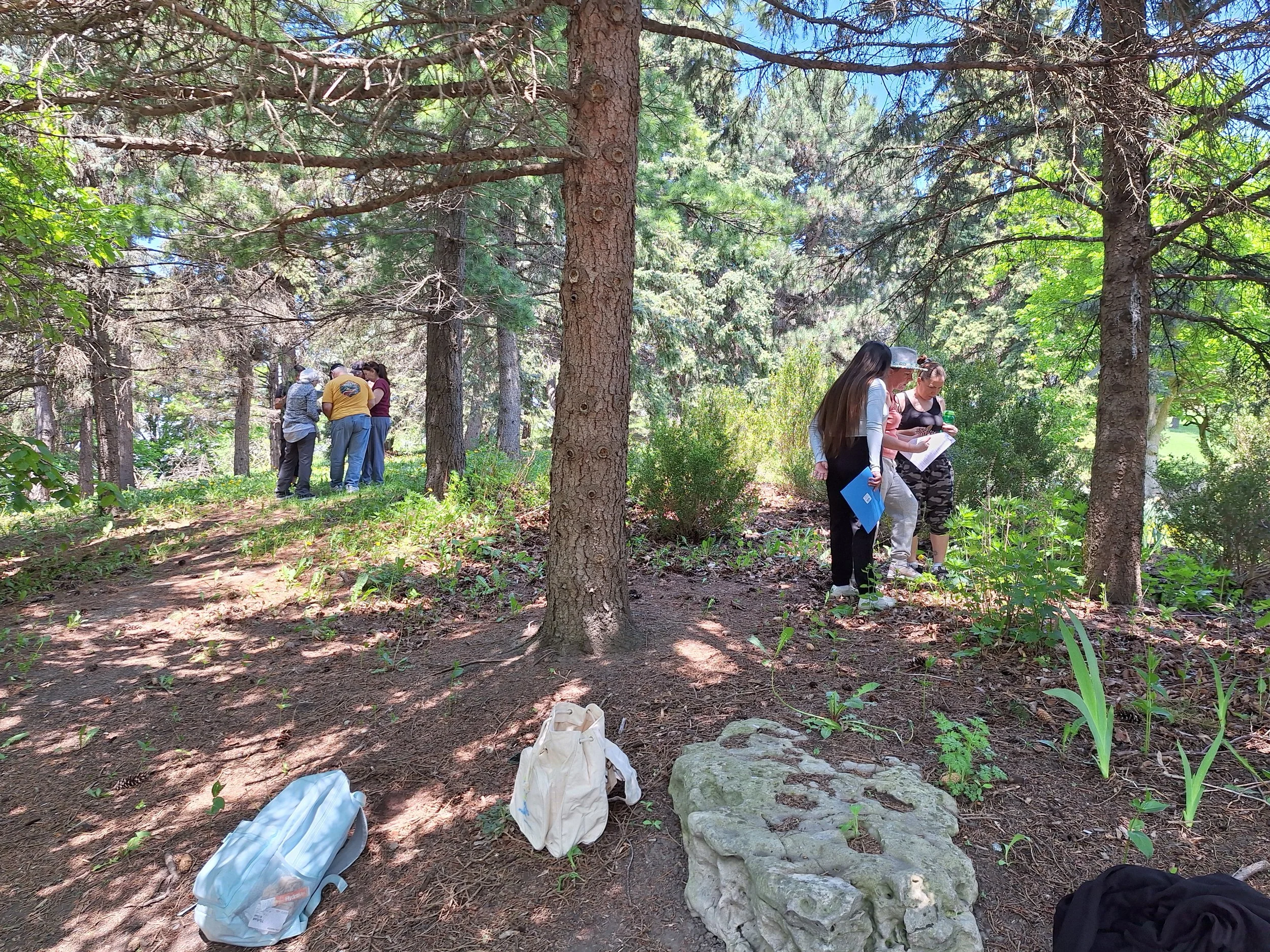 Renita’s Full Circle Experience