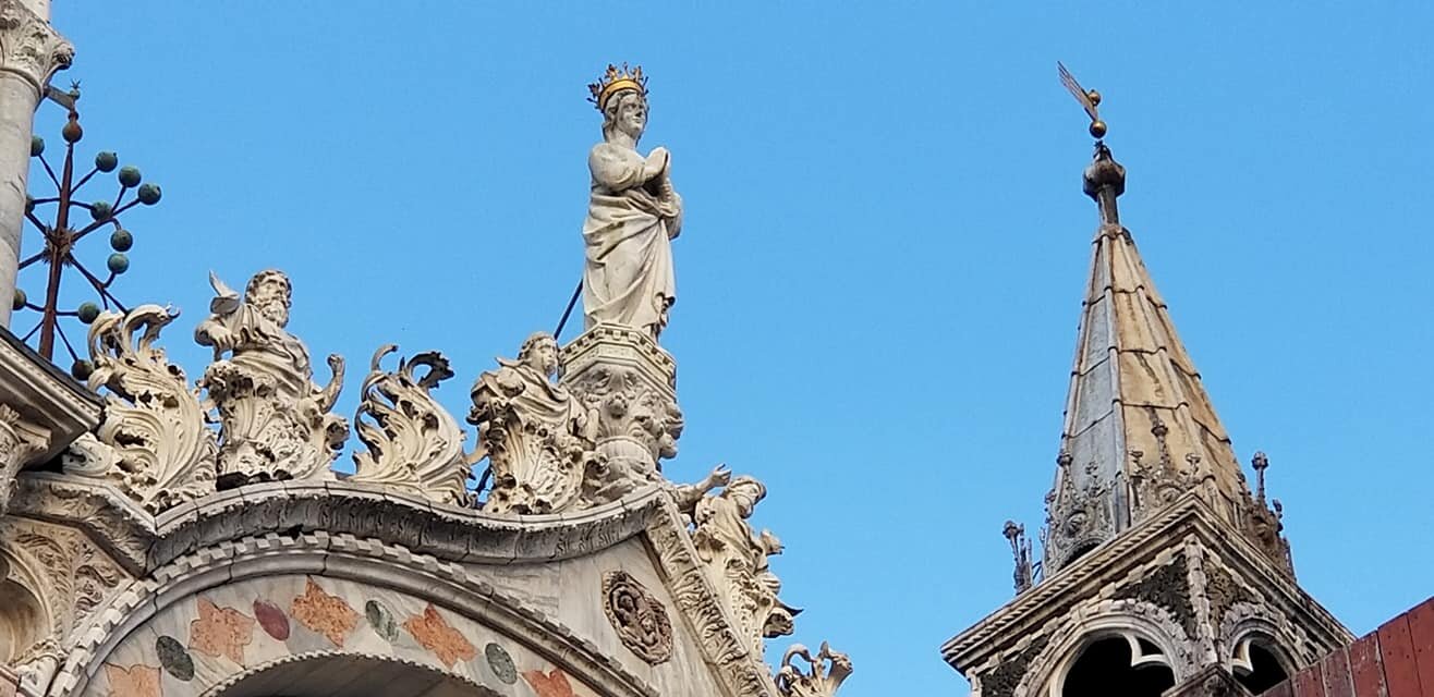 looking up in st marks mary.jpg