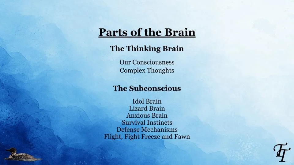 Parts of the Brain.jpg