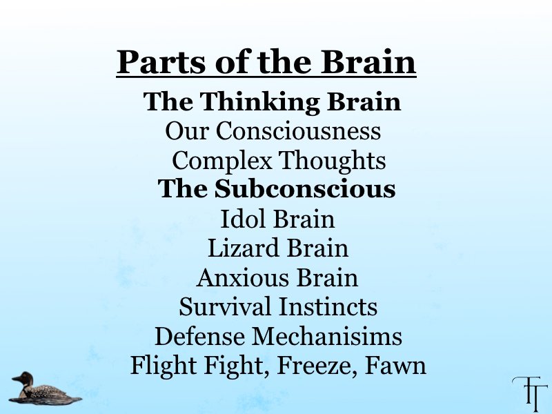 parts of the brain.jpg