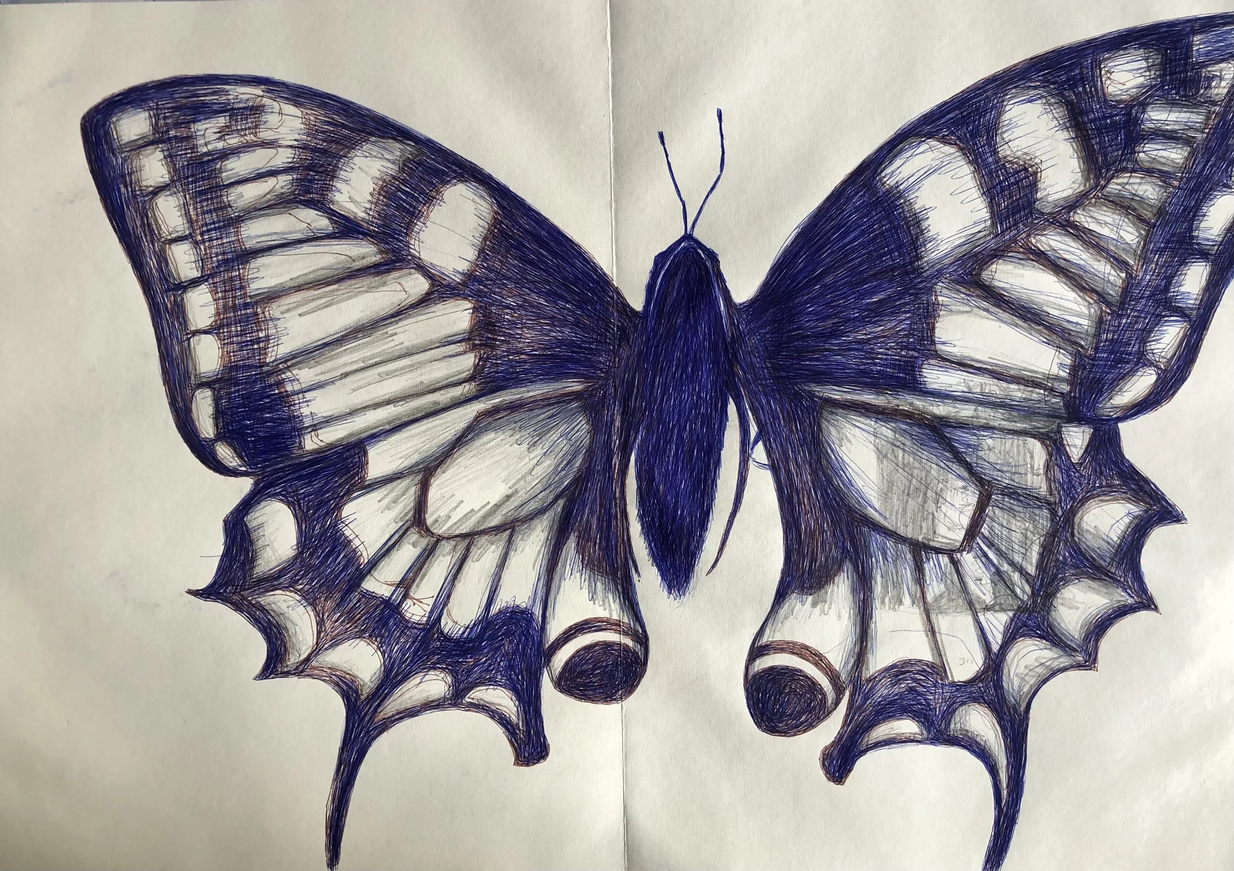 PAPILLON NOIR