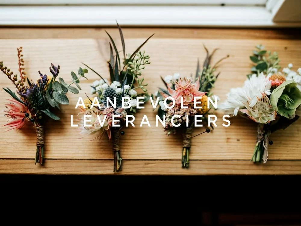 Aanbevolen Leveranciers