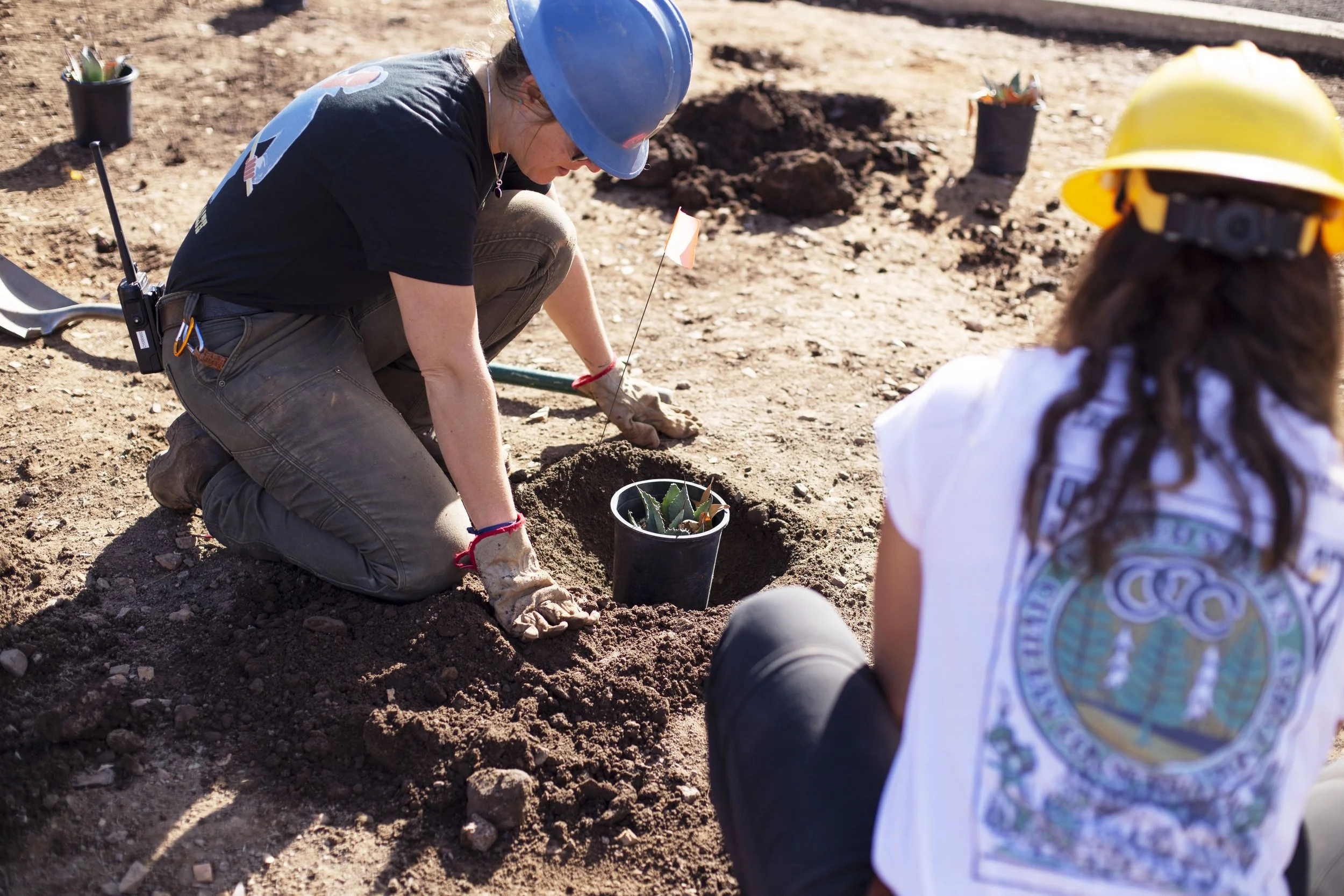 Parks Project x Arizona Conservation Corps | Creative Direction & Photography