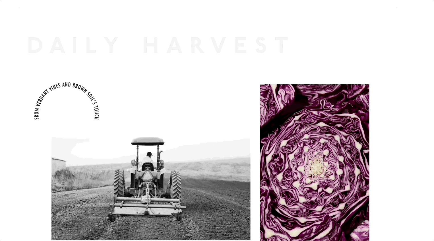 Jan-03-2024 16-37-13.gif