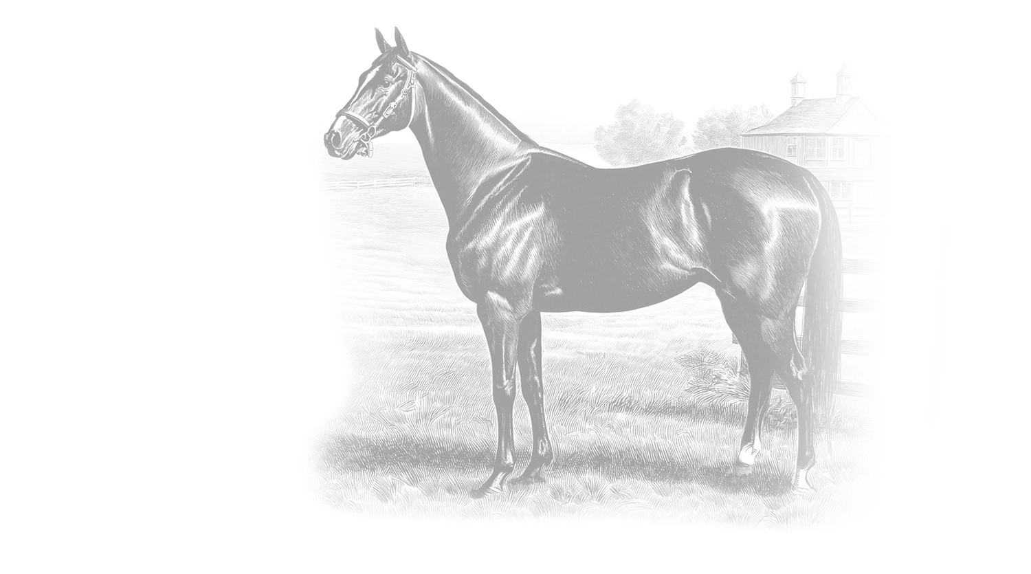 Vintage Horse and Farm Illustration - Faded