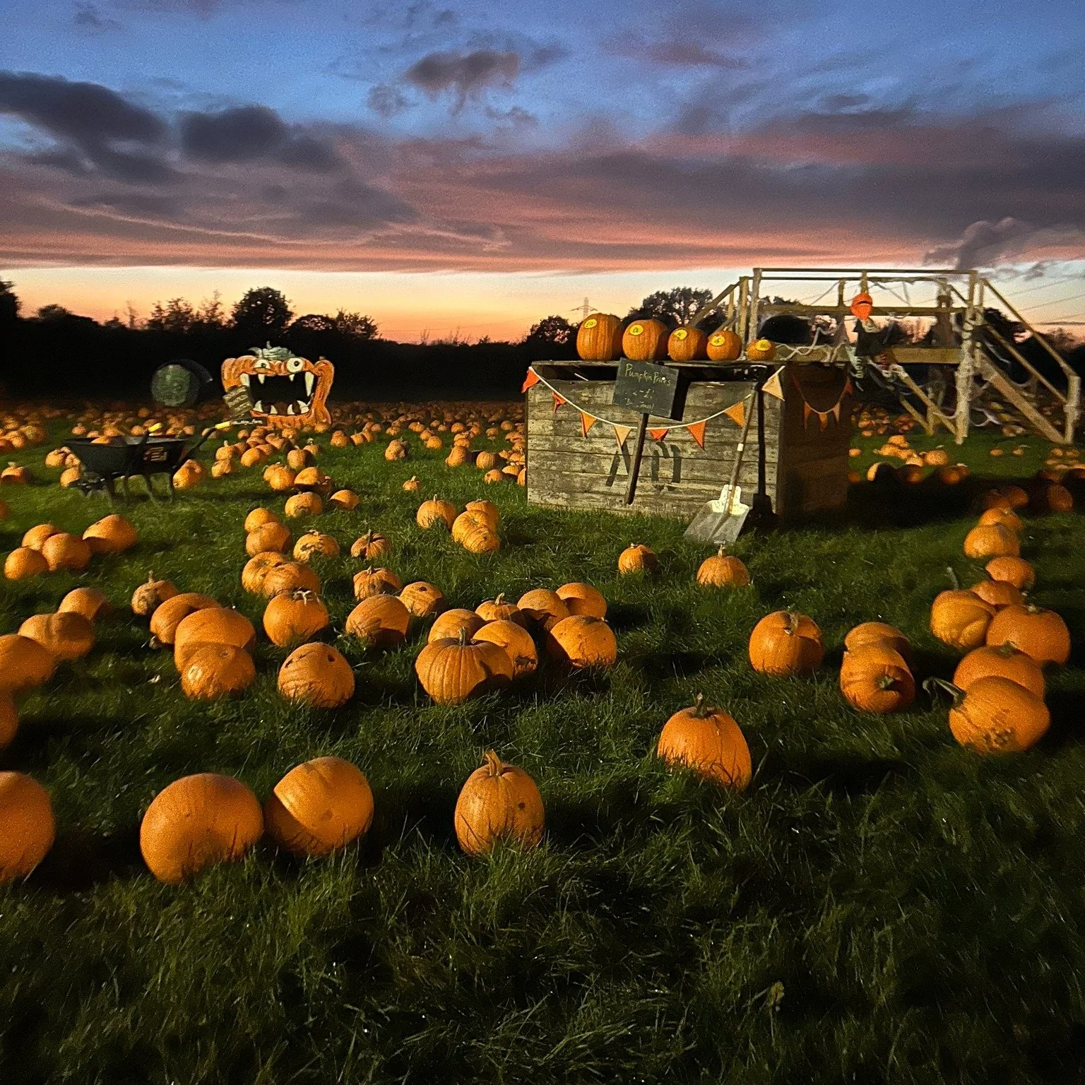 🎃 Pumpkin Nights at High Lodge Farm start in just 4 days! 🌙

Join us after dark for a magical evening on the farm - all the fun of our daytime Pumpkin Trail, but by torchlight!

Explore the spooky trail, pumpkins, toast marshmallows, sip hot chocol