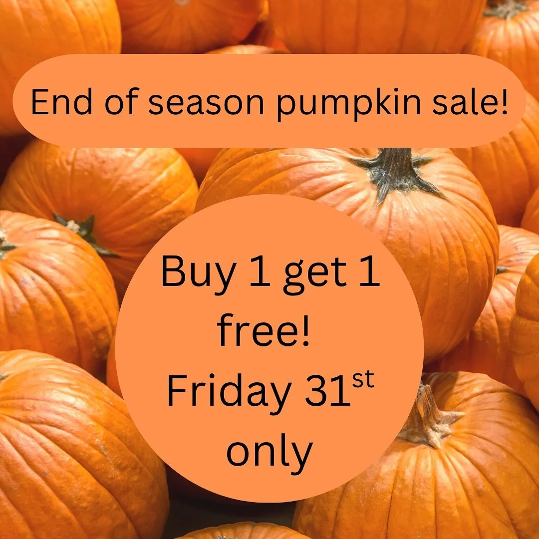 It&rsquo;s the last day of High Lodge Farm&rsquo;s Spooky Trail and Pumpkin Patch 2025! 🎃

To celebrate an amazing season, we&rsquo;re offering all our paying visitors Buy One, Get One FREE on all orange carving pumpkins. 

Bring the family, grab yo