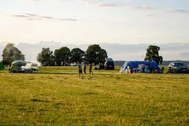 campsite.jpeg