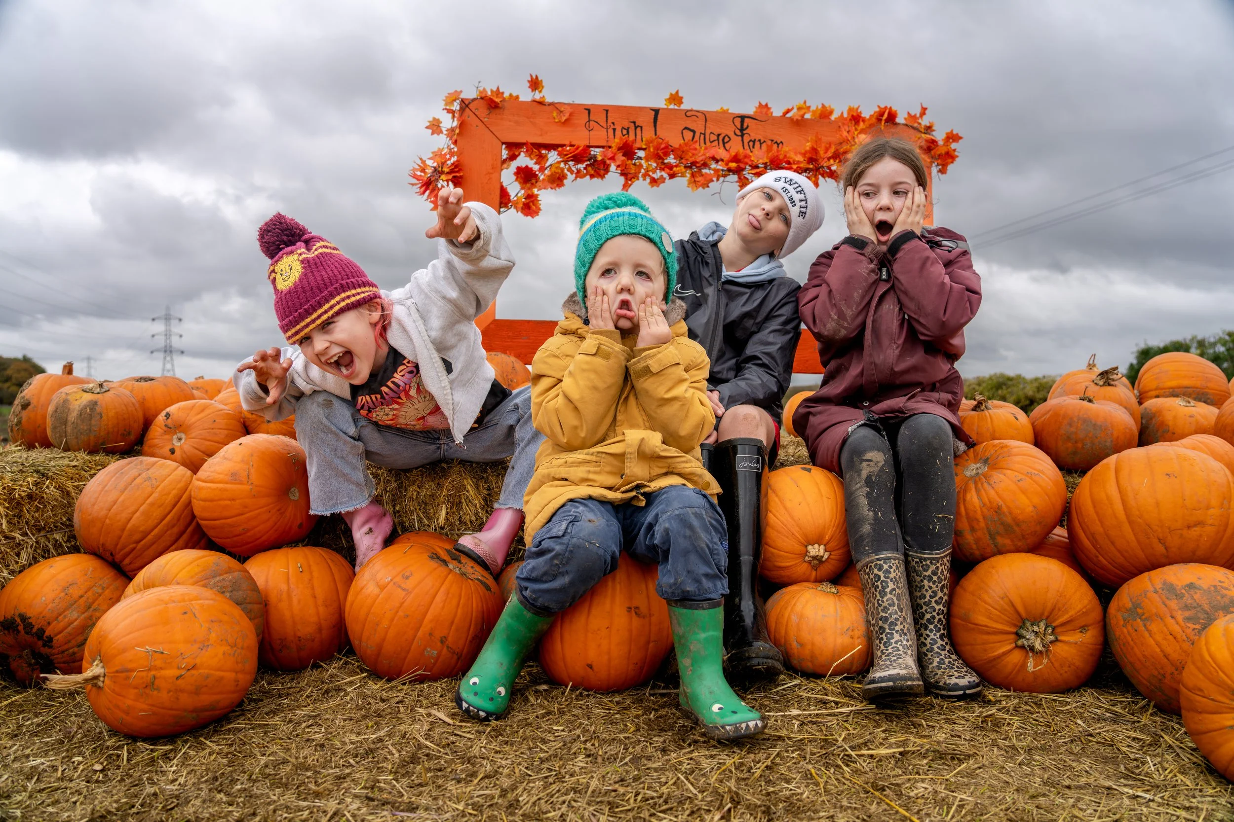 Pumpkin Patch