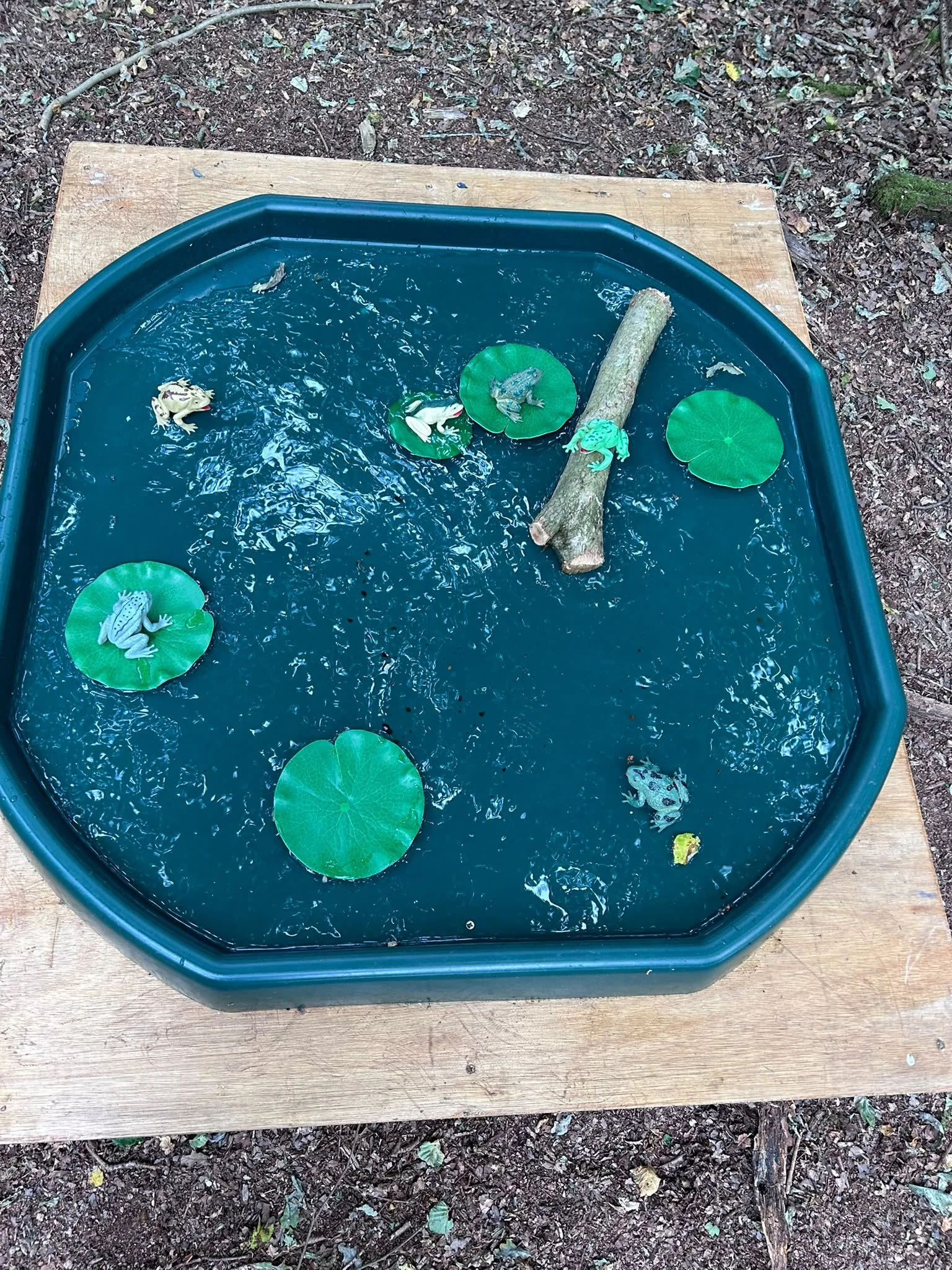 Frog-themed tuff tray at High Lodge Farm's Little Explorers