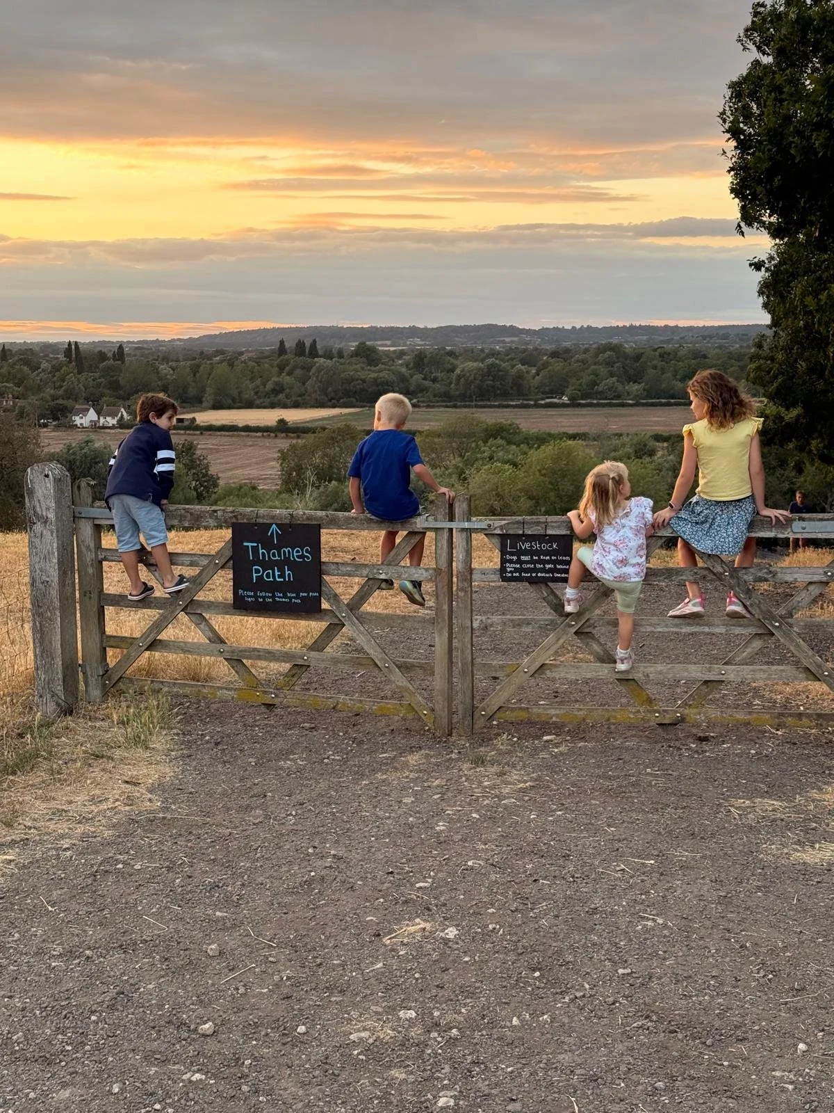 Children enjoying the view from High Lodge Farm campsite