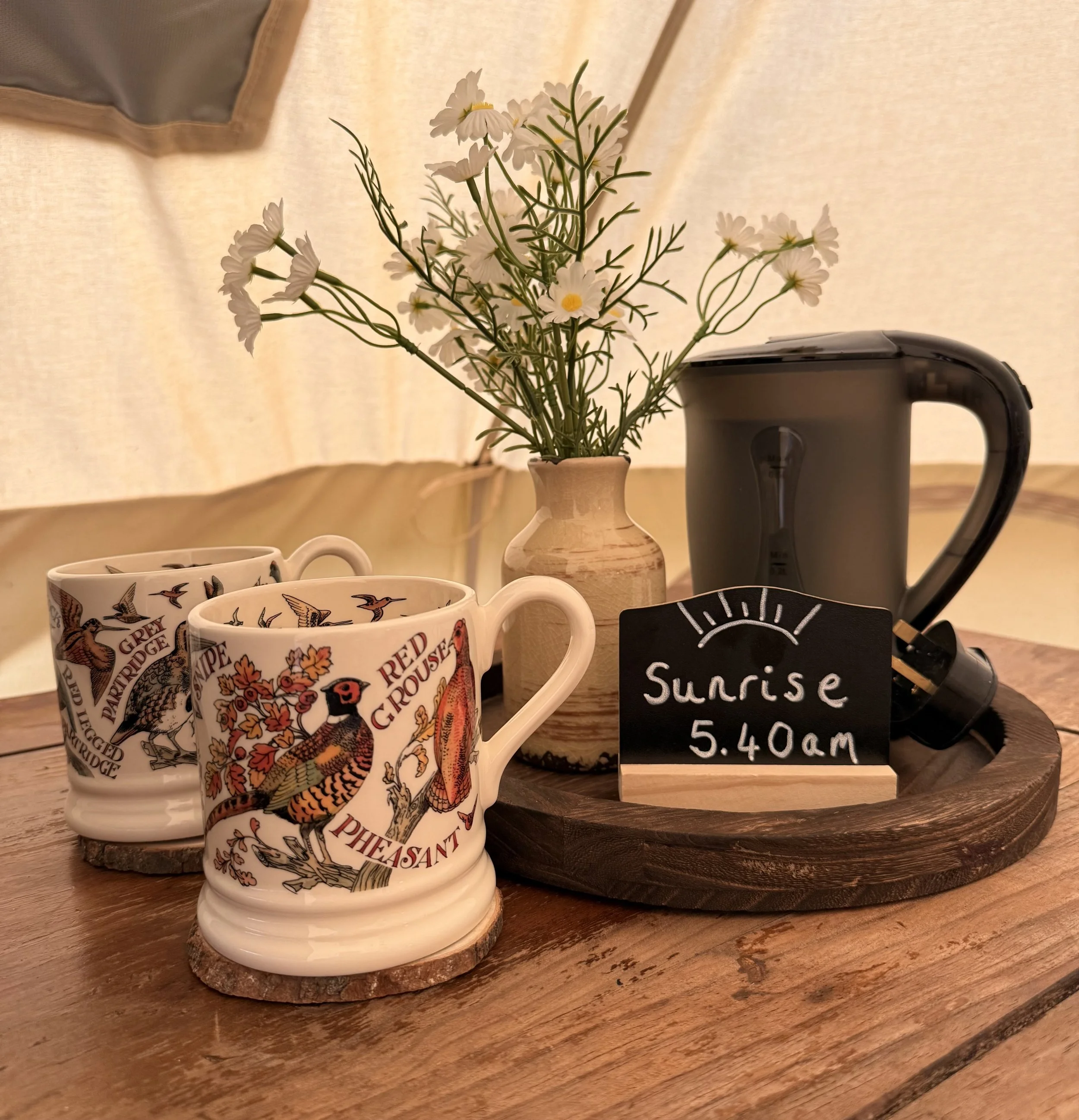 Our bell tents come with a kettle, a fridge and electric plug sockets
