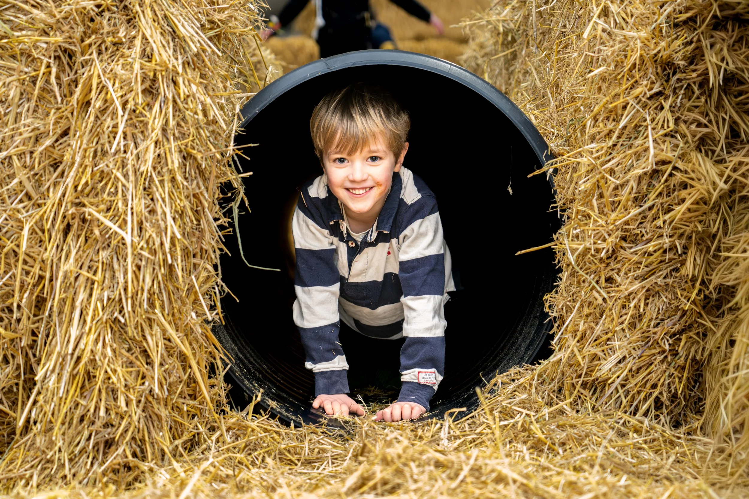 Bale Play in a Barn