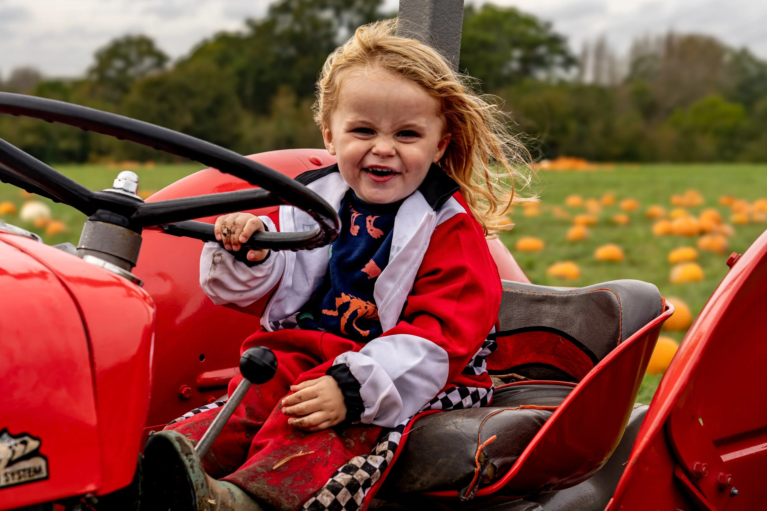 High Lodge Farm's Pumpkin Patch