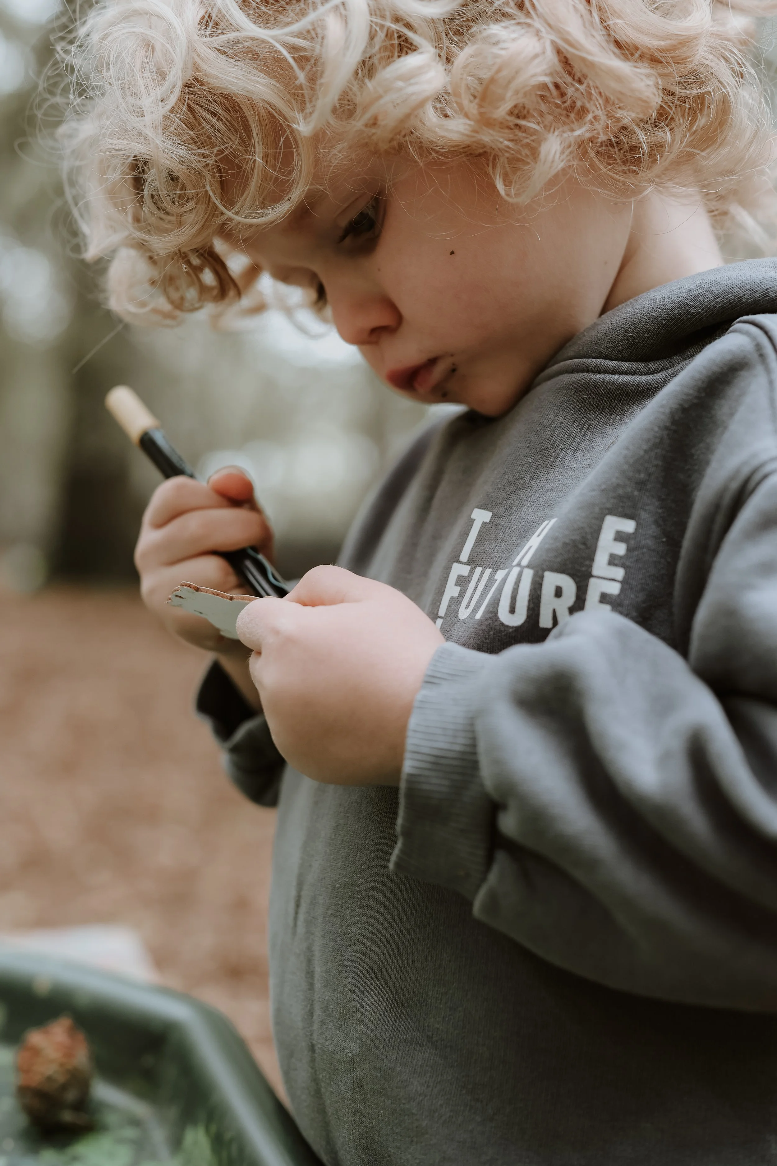 Credit: Sunshine in the Woods Photography