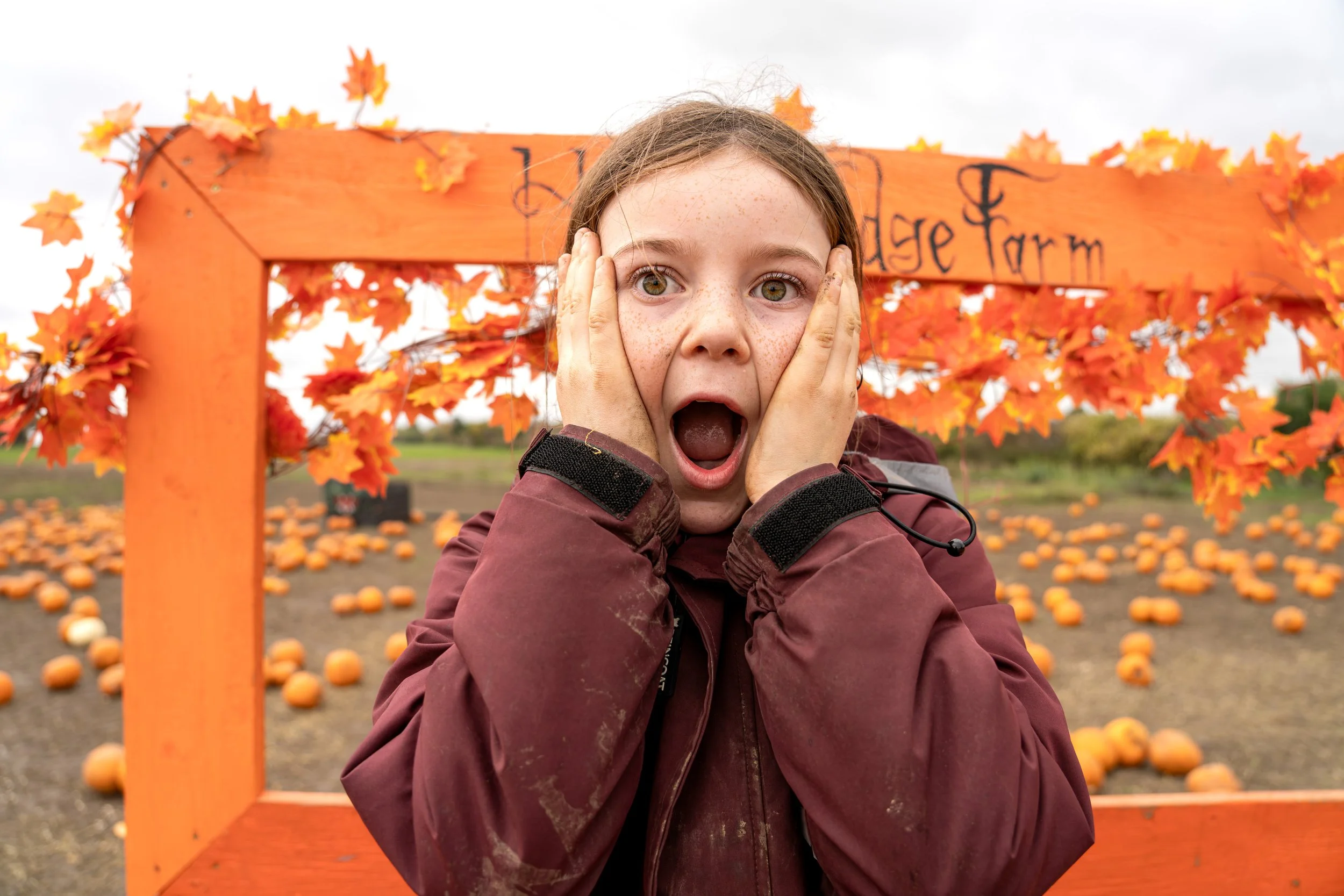 HIGH LODGE FARM - HALLOWEEN -09.jpg