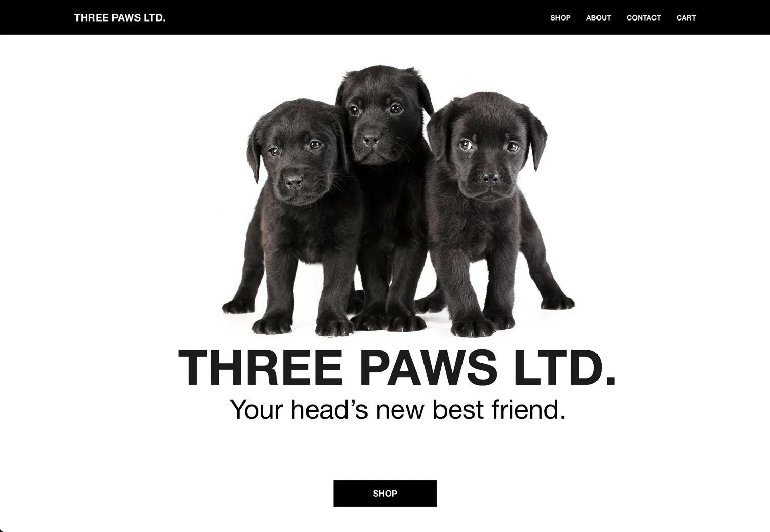 THREE PAWS LTD.