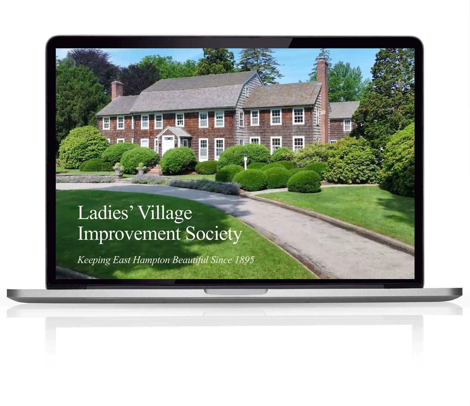 LVIS.org