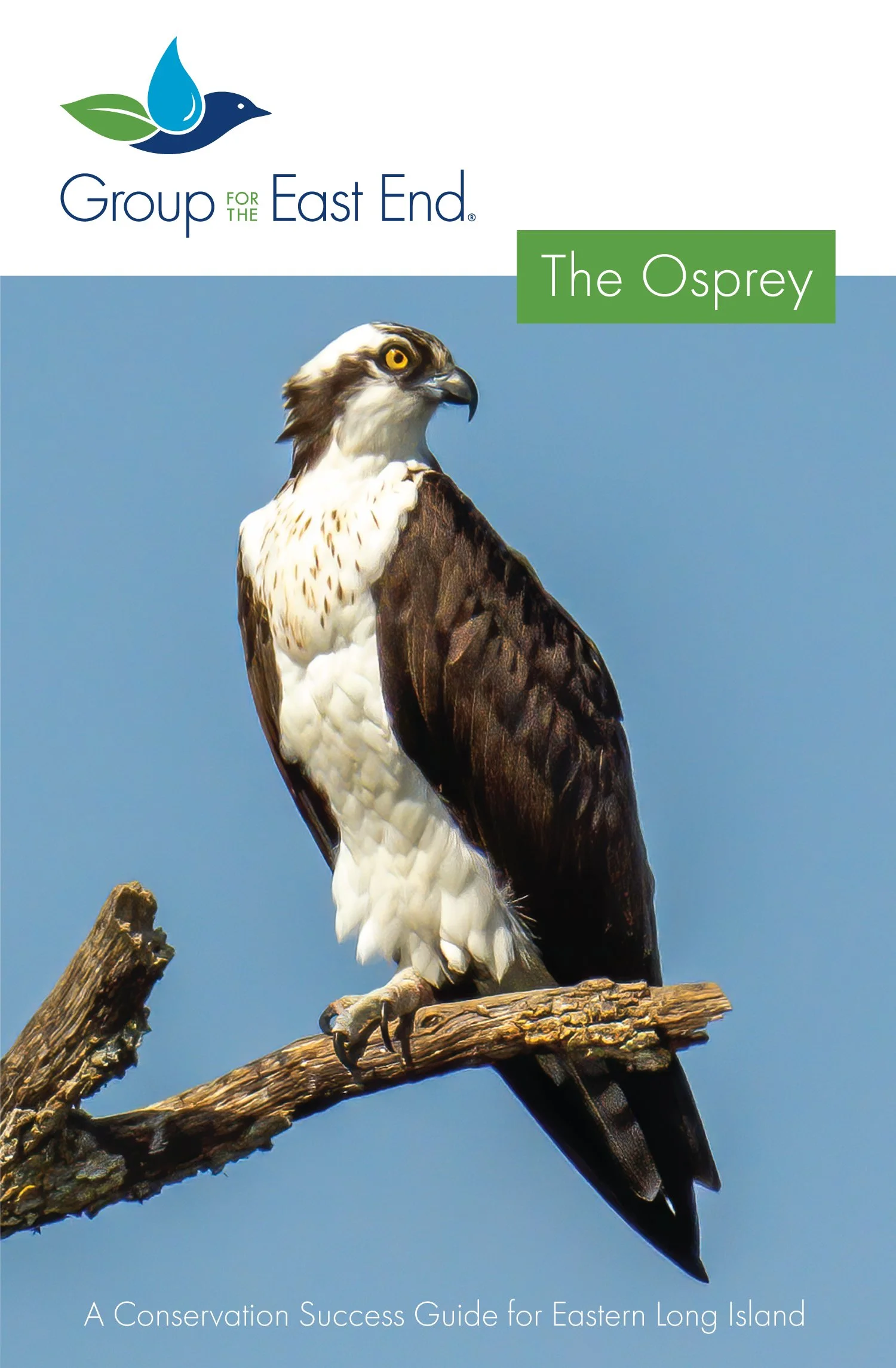 GEE-Osprey-ConservationSuccessGuide-CVR.jpg