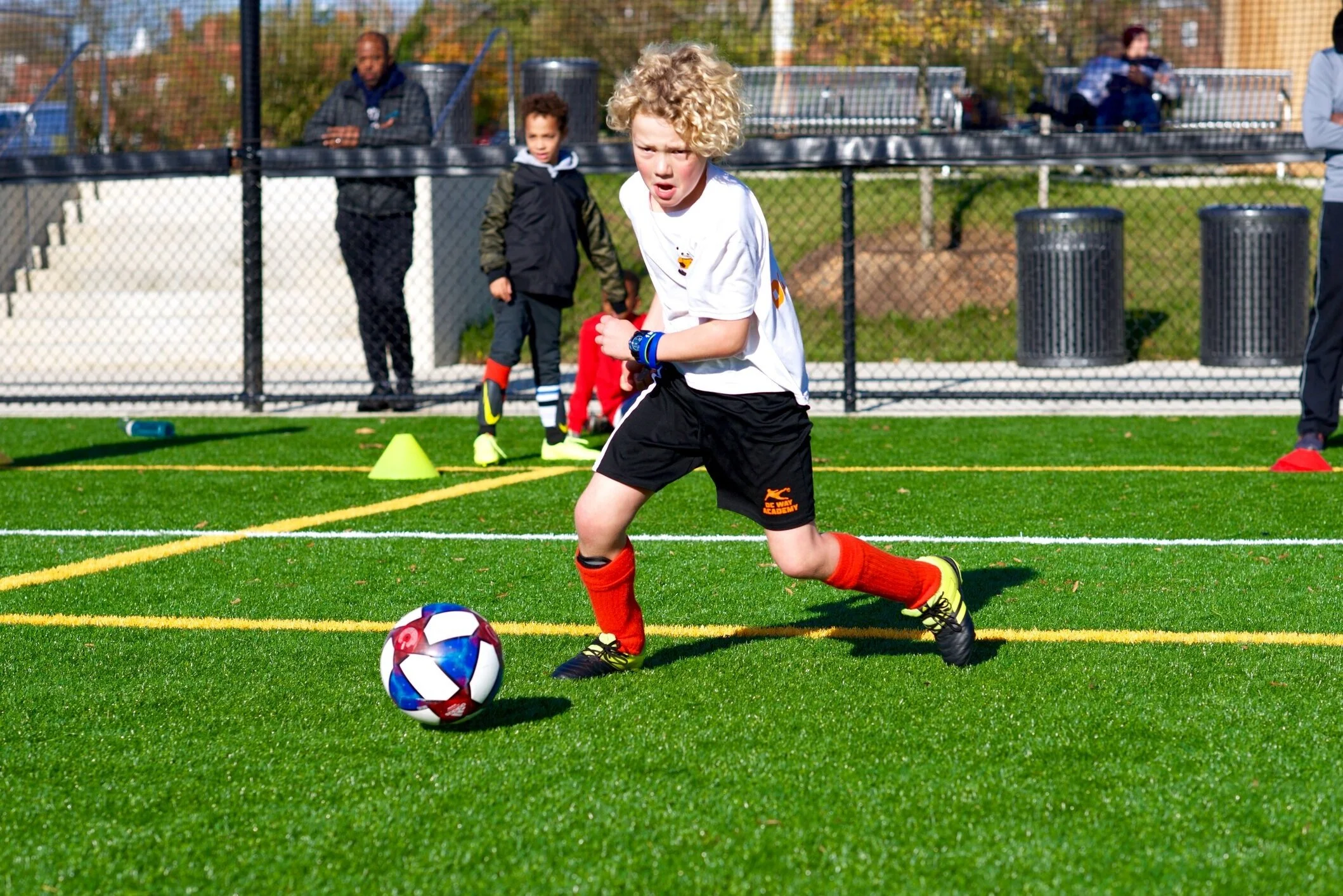 What We Did This Fall!