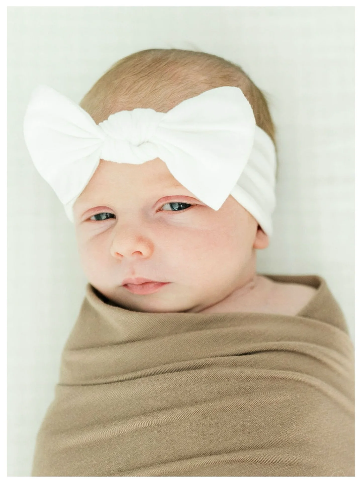 Precious Calin 🤍

How am I just now getting around to posting this adorable little one and her sweet family! Abby how bittersweet is this?!

@abbygcarr 
#knoxvilleweddingphotographer #knoxvilleportraitphotographer #knoxvillenewbornphotographer