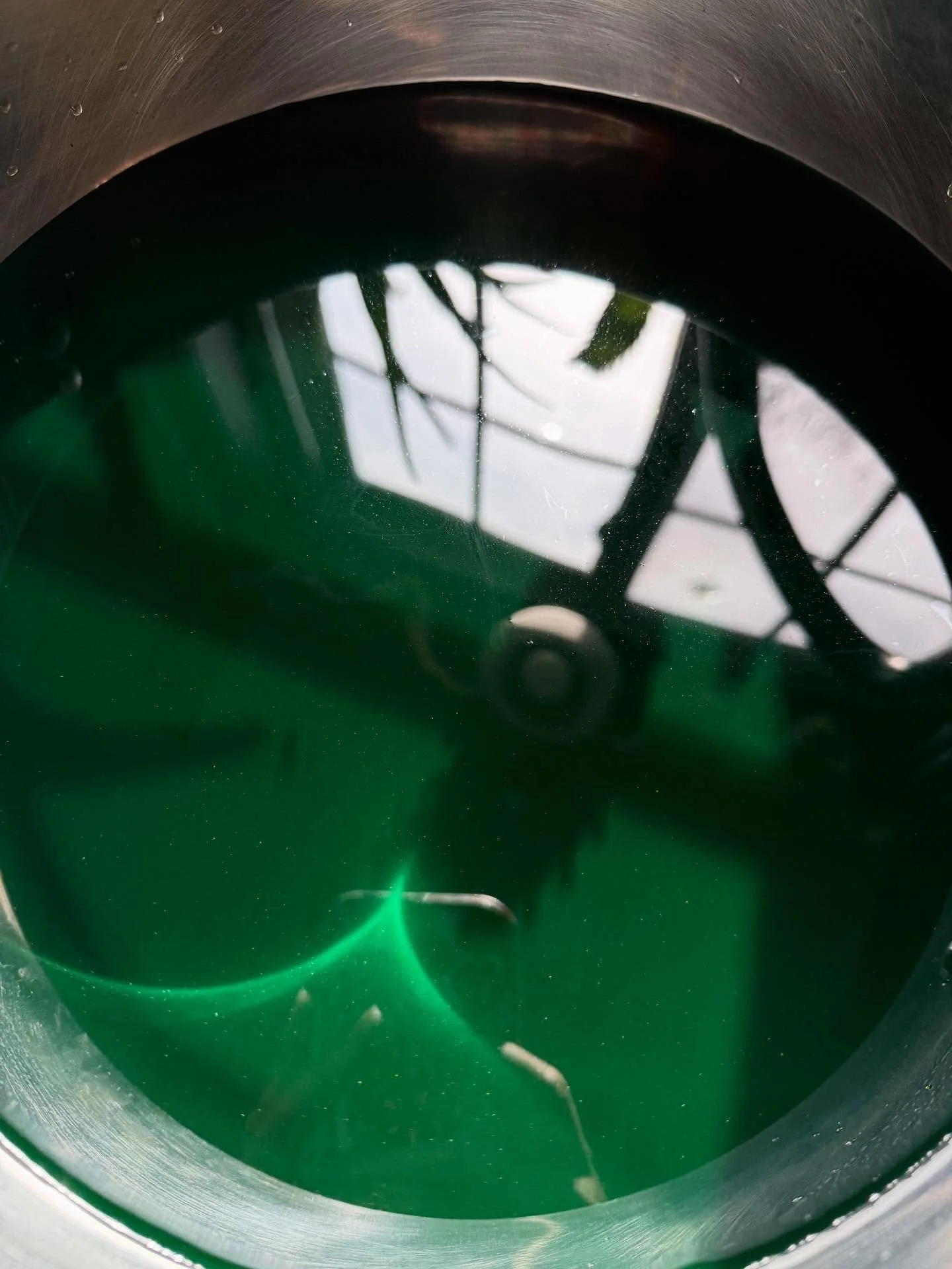 Elphaba vibes today in the dyepot. A fresh batch of Emerald coming with me to @nefiberfestival in a few weeks! #fiberfair #emerald #handdyedyarns #freshbatch