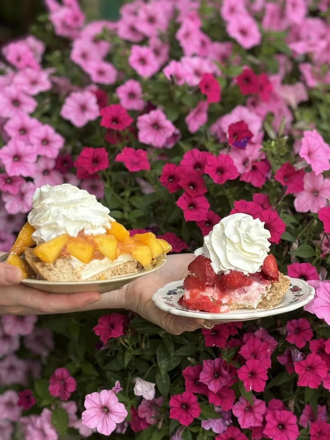 pies 9.jpg