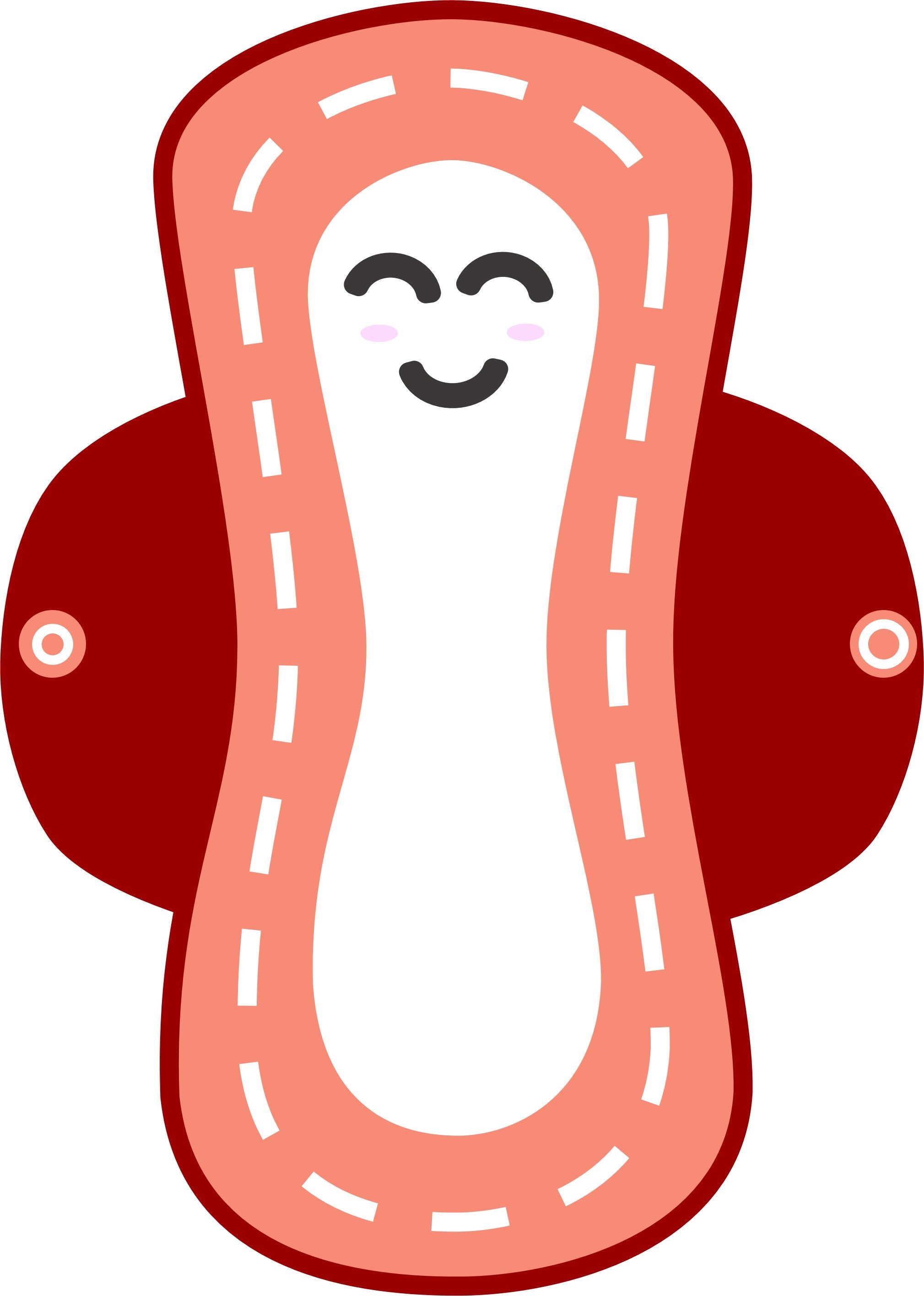 Copy of reusable pad.png