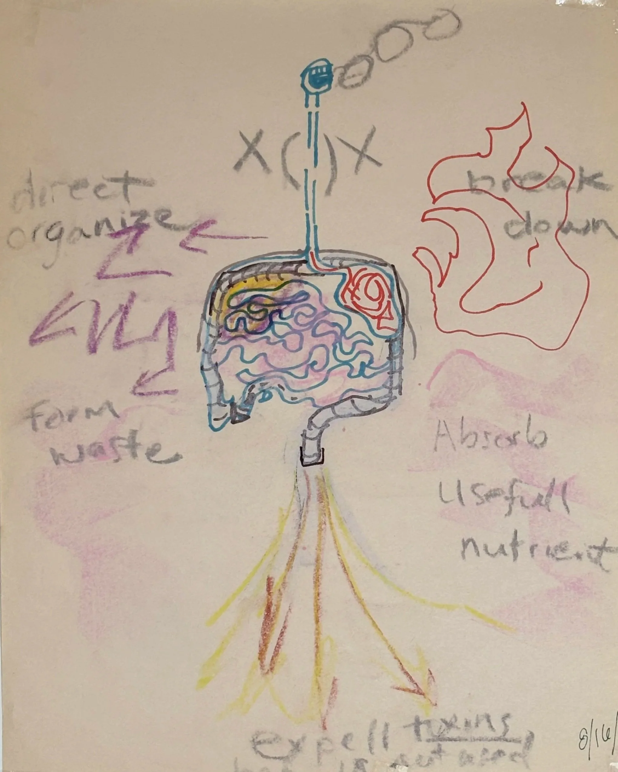 Head, Heart, and Guts for Visual Artists