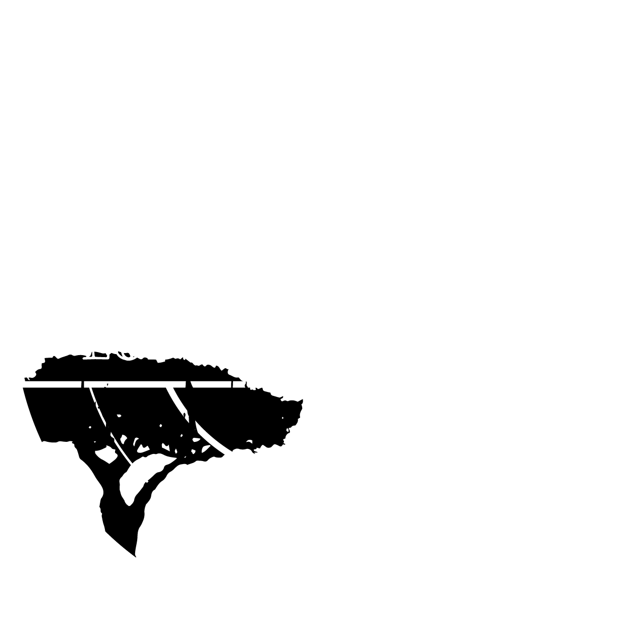Enjoy our Tuesday Specials at Cypress Social! North Little Rock upscale casual restaurant serving Southern-Cajun cuisine. On Tuesdays, enjoy Lobster Ravioli and Raw Oysters for just $1.50 a piece.