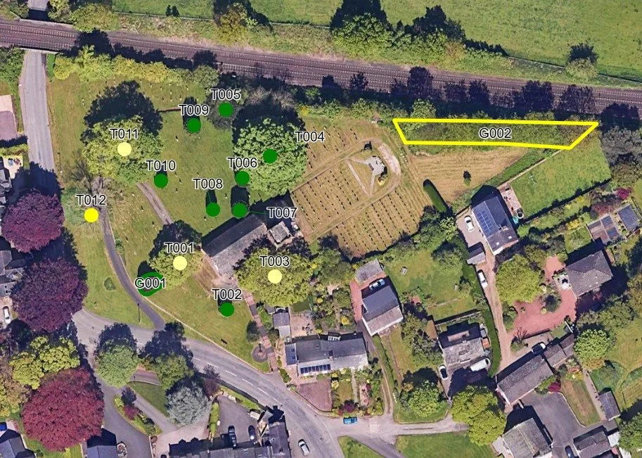 A safety and tree management survey, carried out for All Saints Church, Scotby.