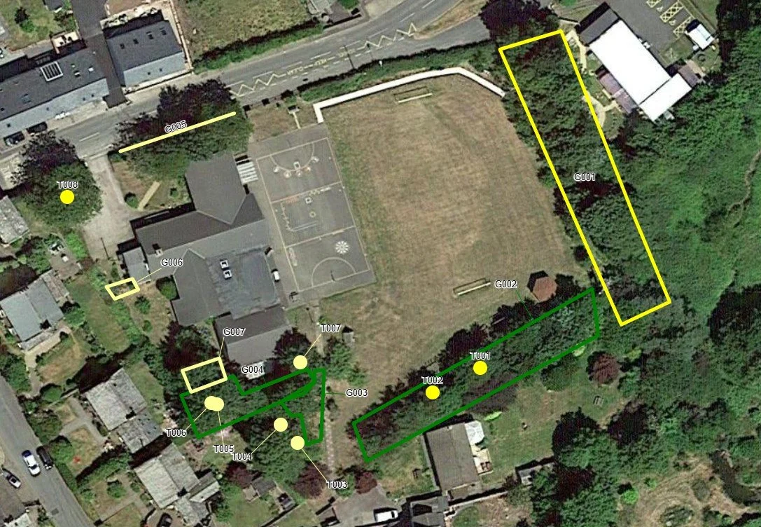 A safety survey and tree management report, carried out for Beckermet Church of England School.