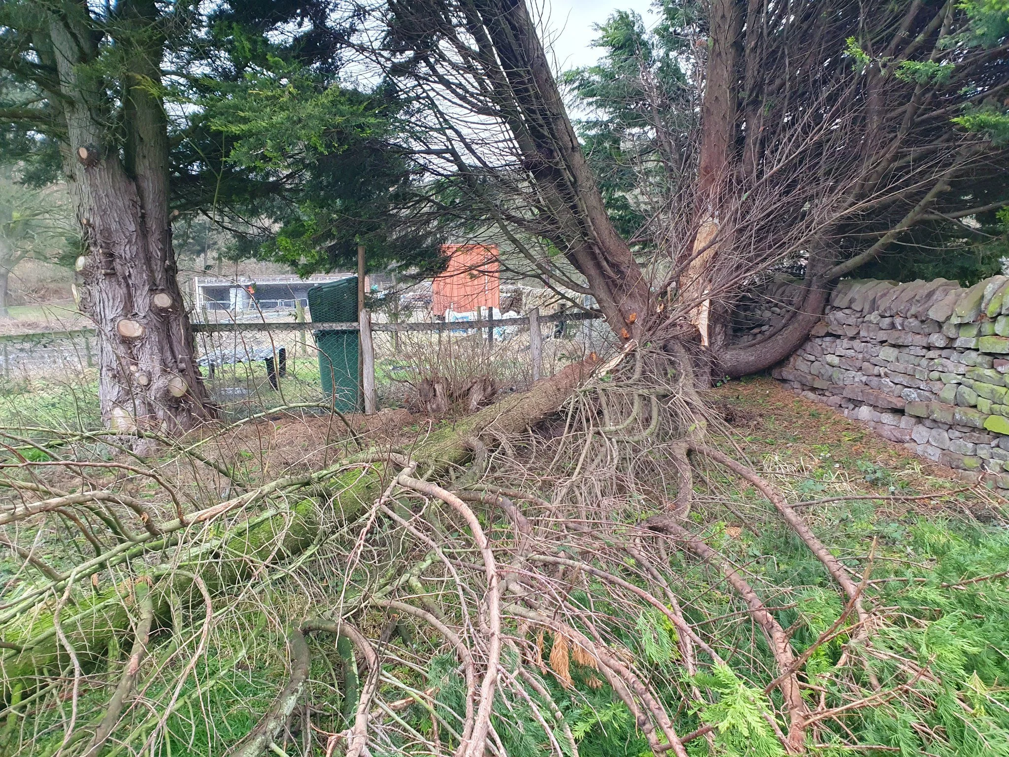 Removal of a conifer which collapsed in high winds. 

The remainder of the tree was removed with no further damage to the wall or fences.