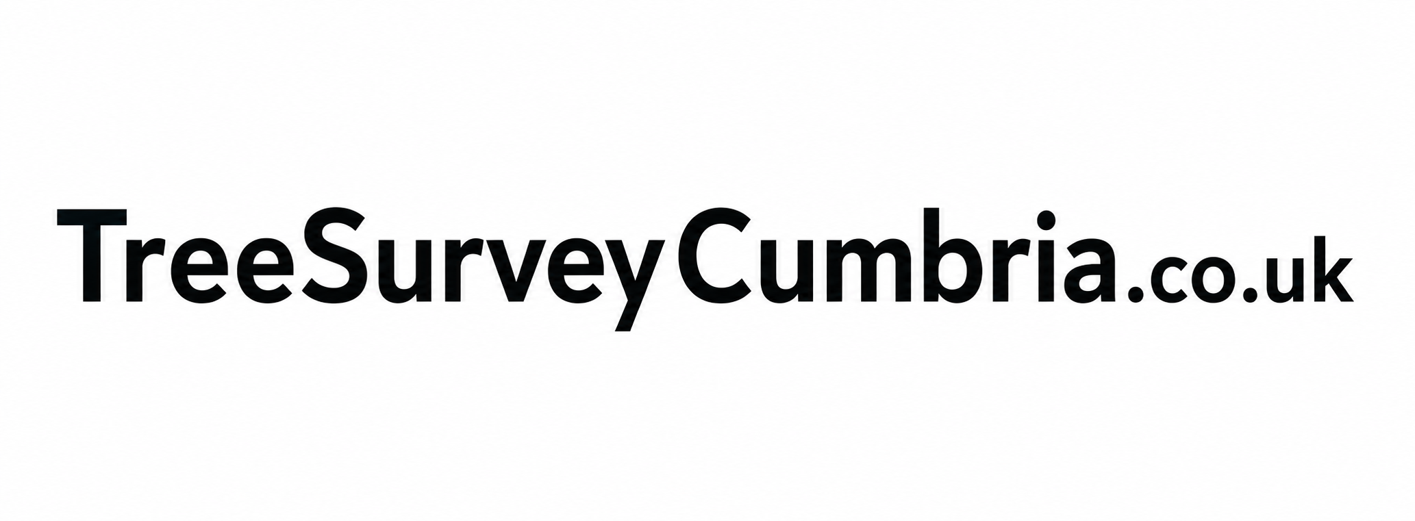 TreeSurveyCumbria.co.uk arboricultural consultancy and tree survey branding